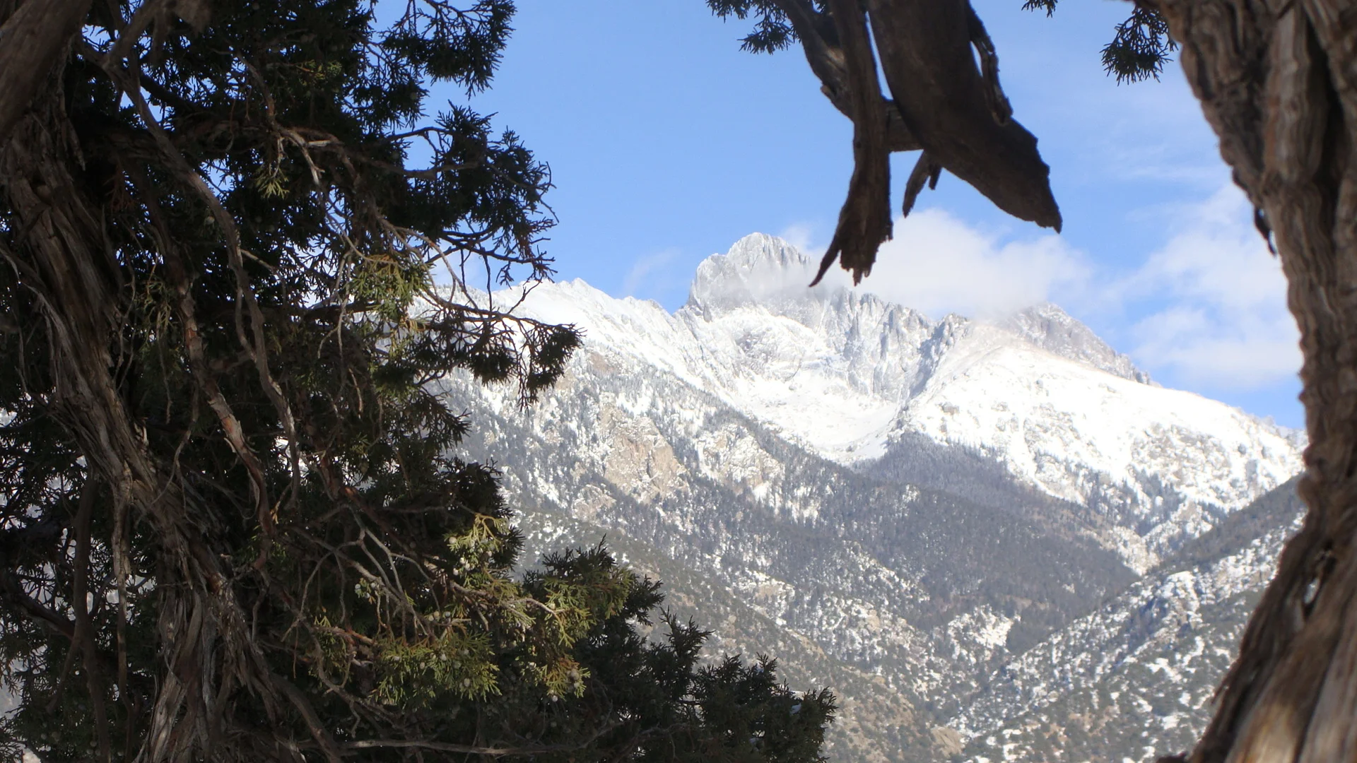 And Heaven and Nature SING!