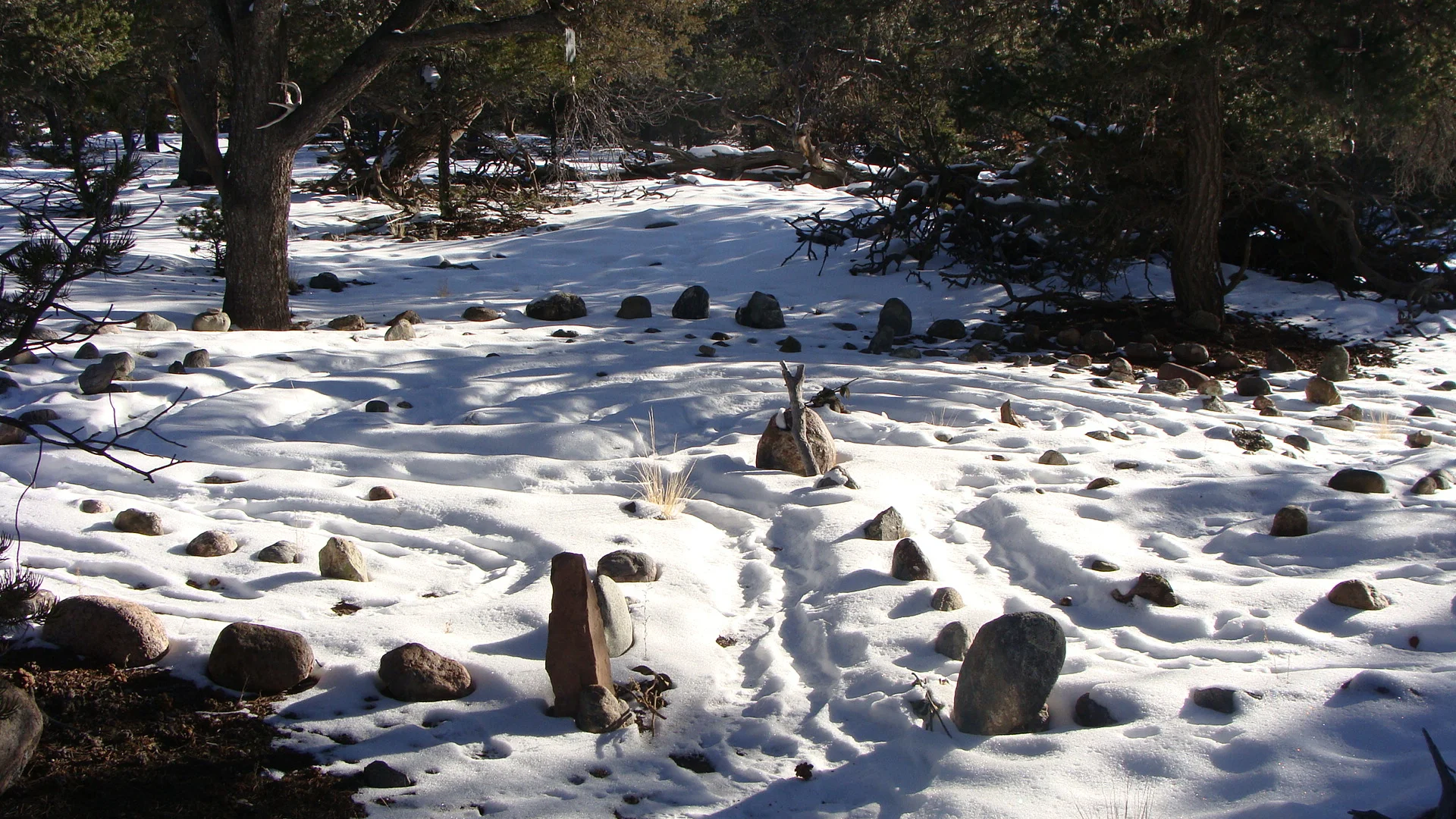 The labyrinth ... a place for quiet reflection and peace.