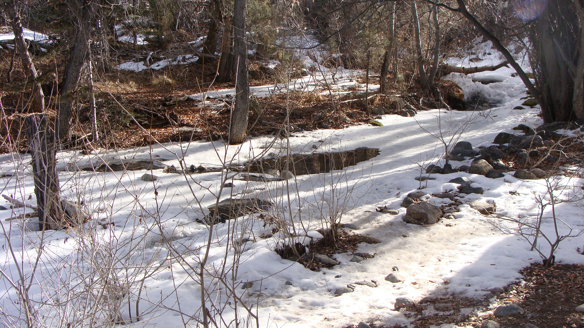 Winter makes way for spring and our annual melt has begun.