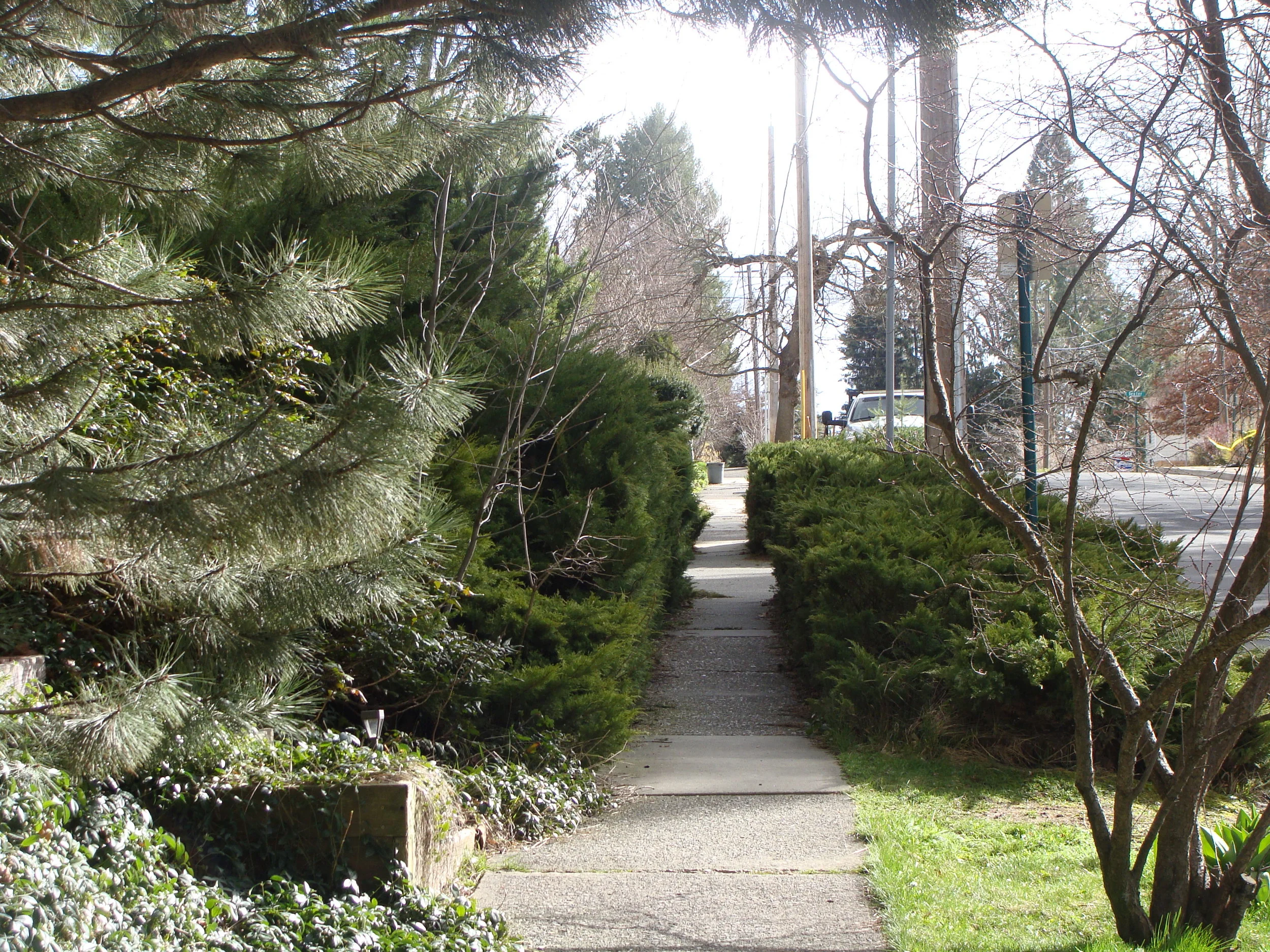 Daily walks are a bit different here ...