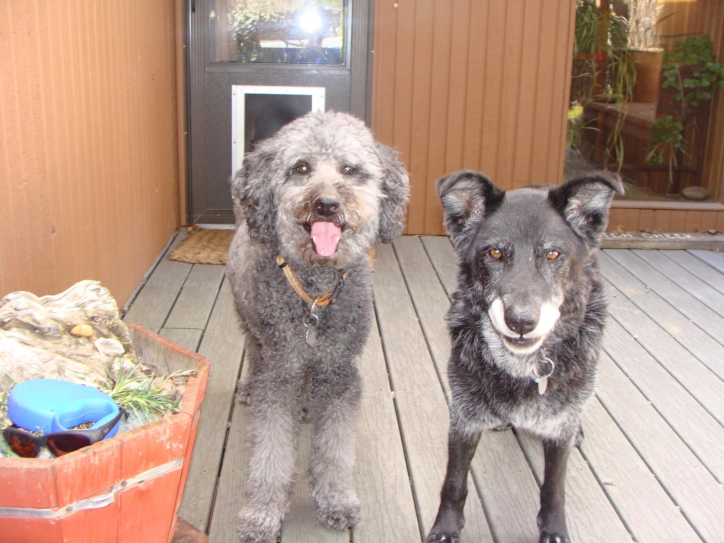 Luke's 'cousins' Bonner & Gilley