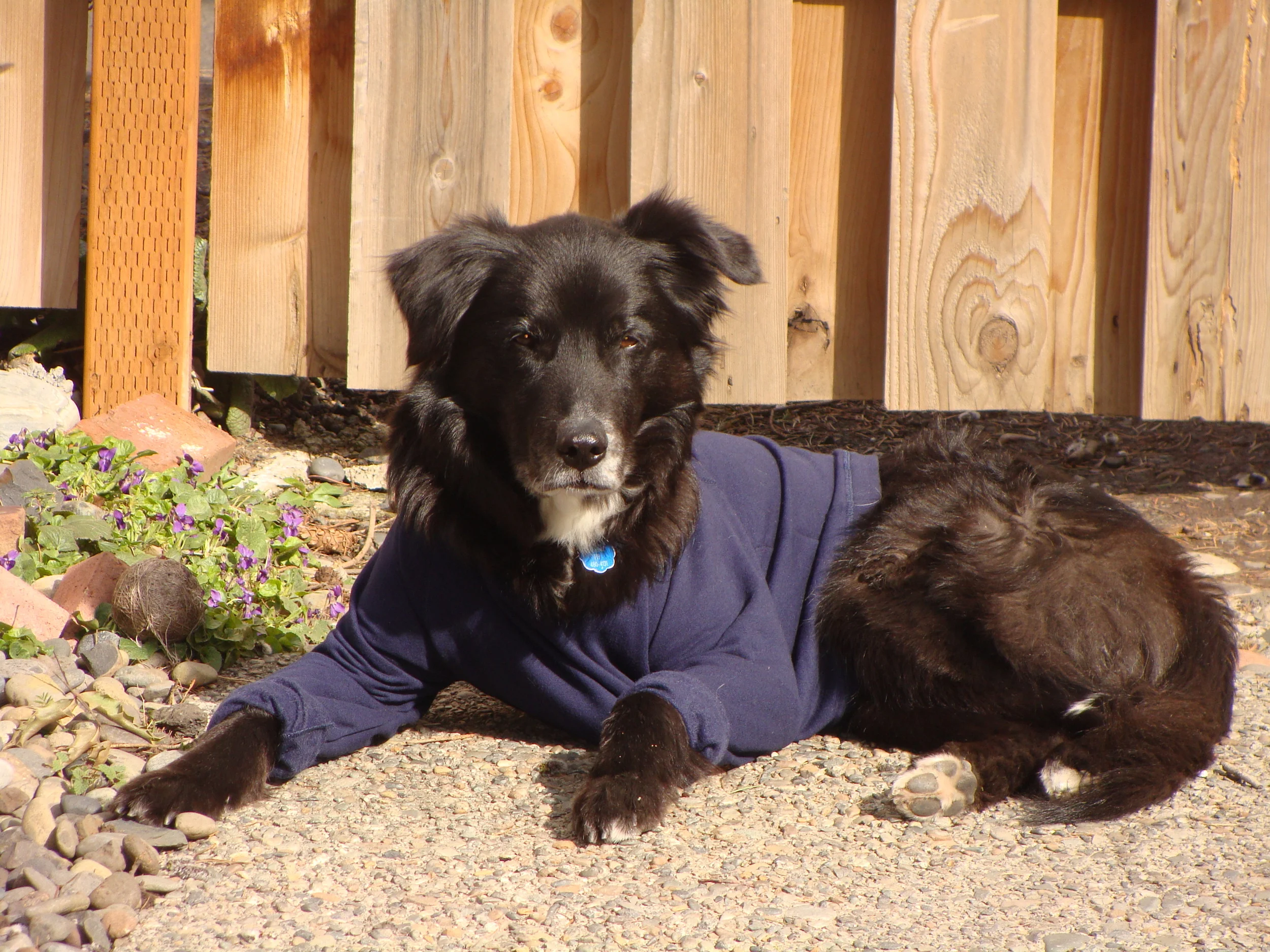Luke sporting his protective shirt (and that's another story for another day!)