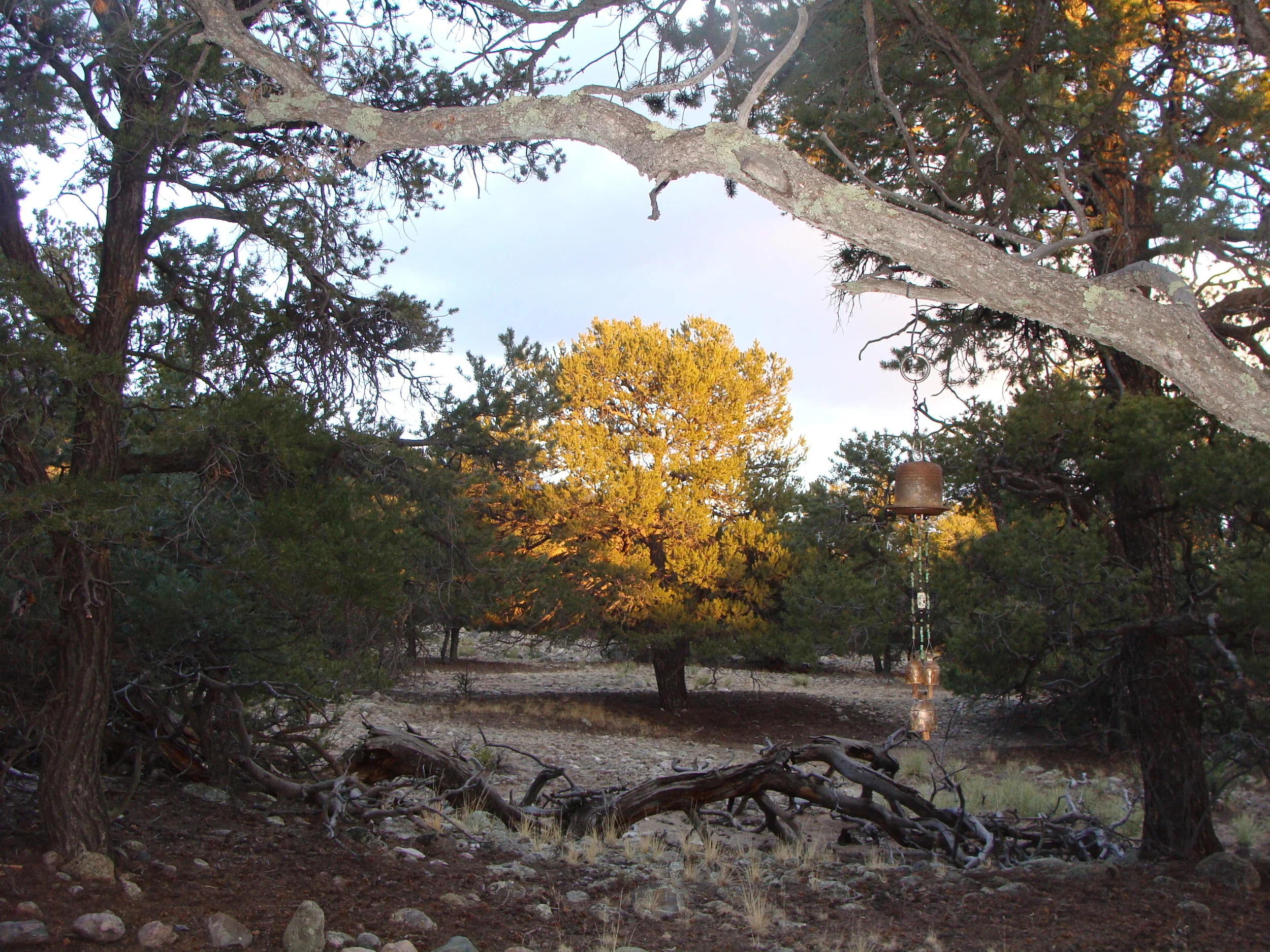 Home Sweet Home in the Labyrinth at Sunset