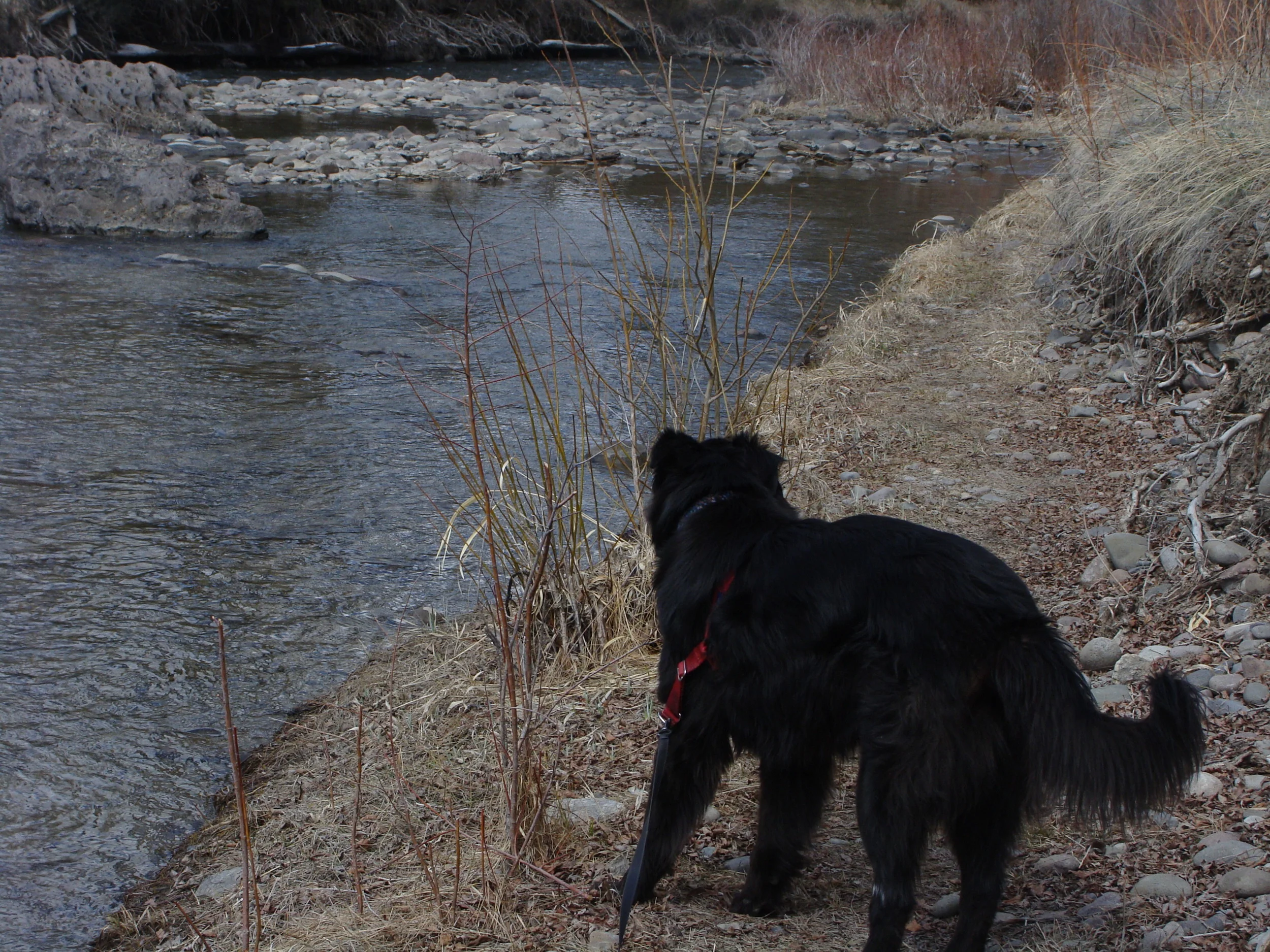 Stopping by a stream to stretch, rest, and explore