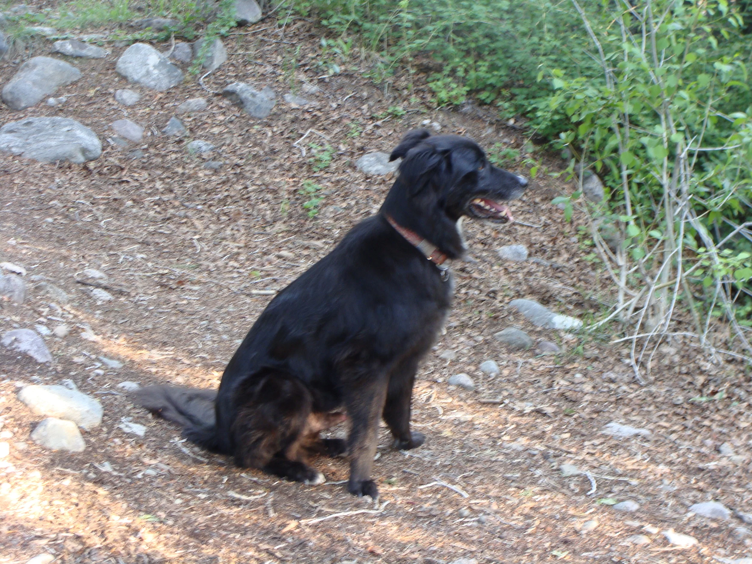 Patiently waiting while Mom takes pictures and some quiet moments by the creek.
