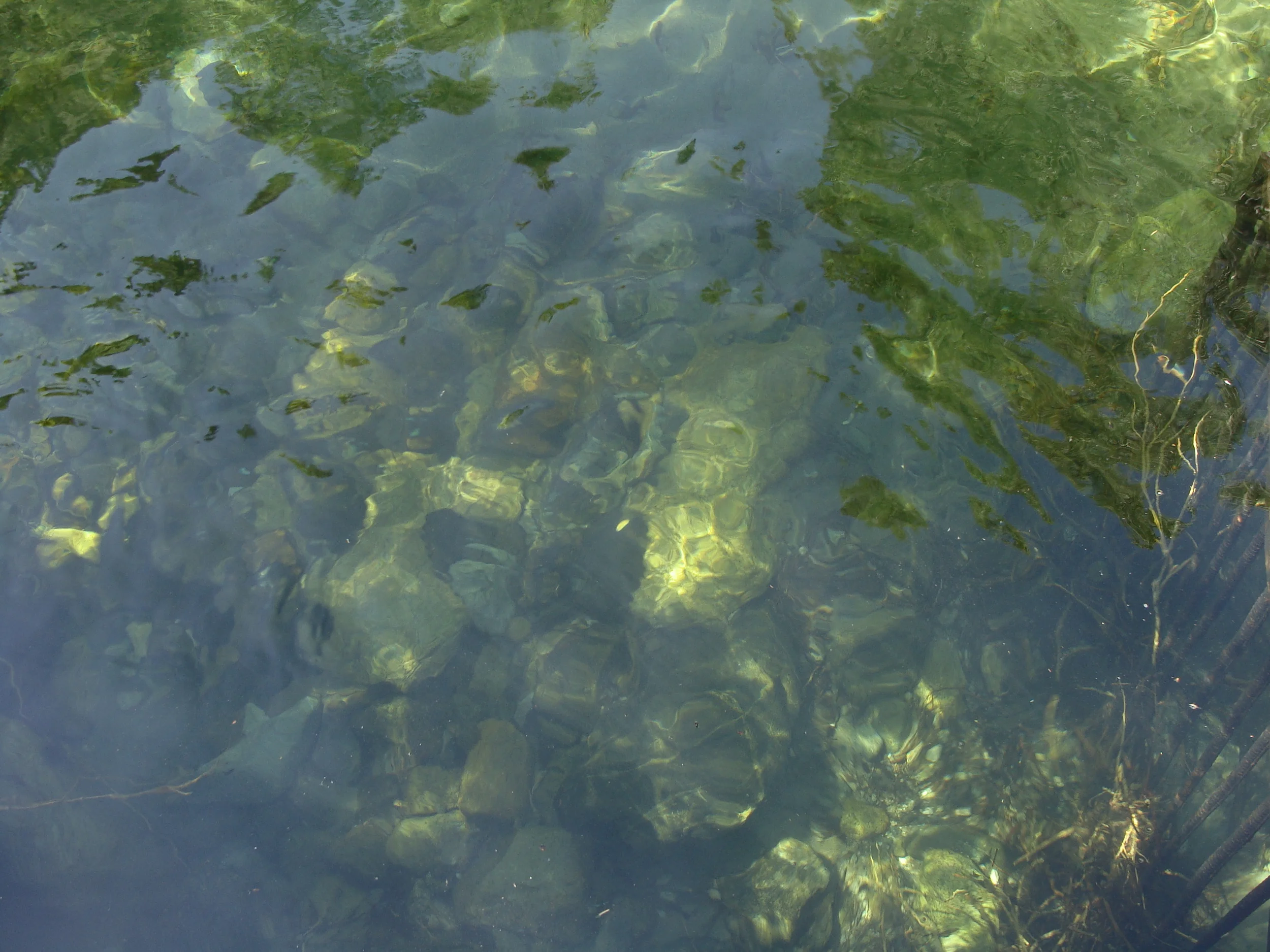To Be As Crystal Clear as this Lake below Zapata Falls ...