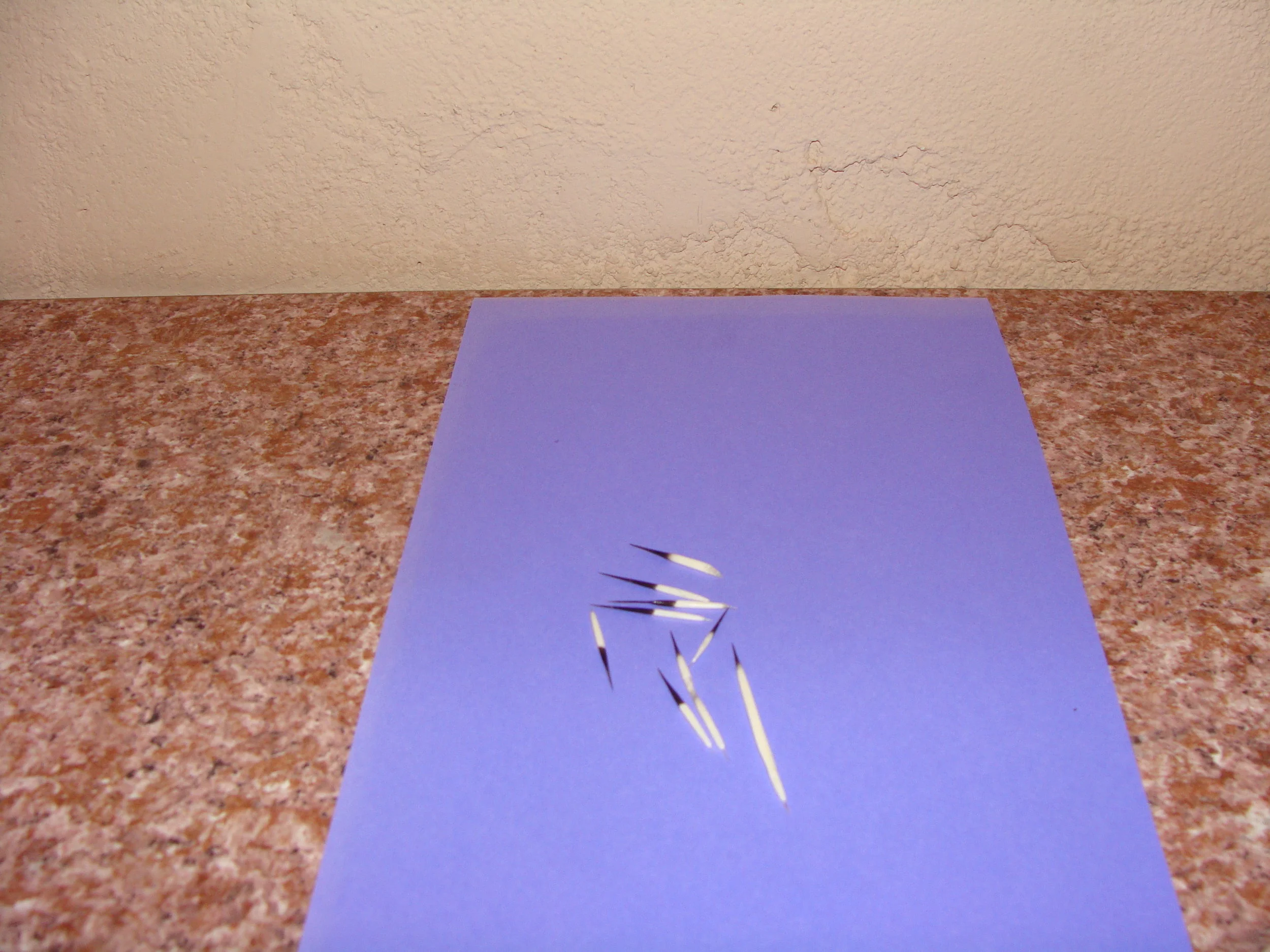 The quills ...