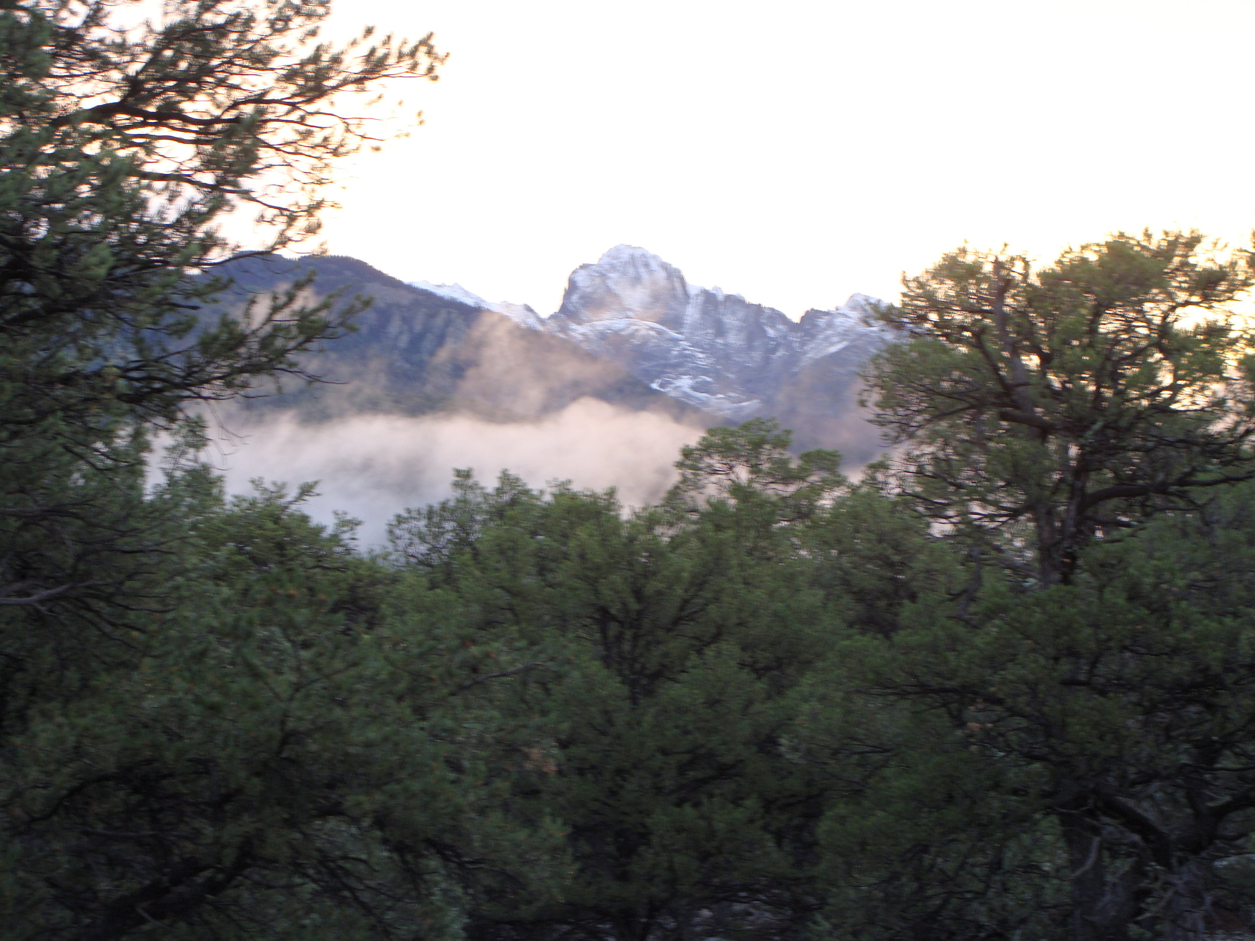 An especially beautiful sunrise over the mountains: snow, a fog bank, and sunlight in the trees