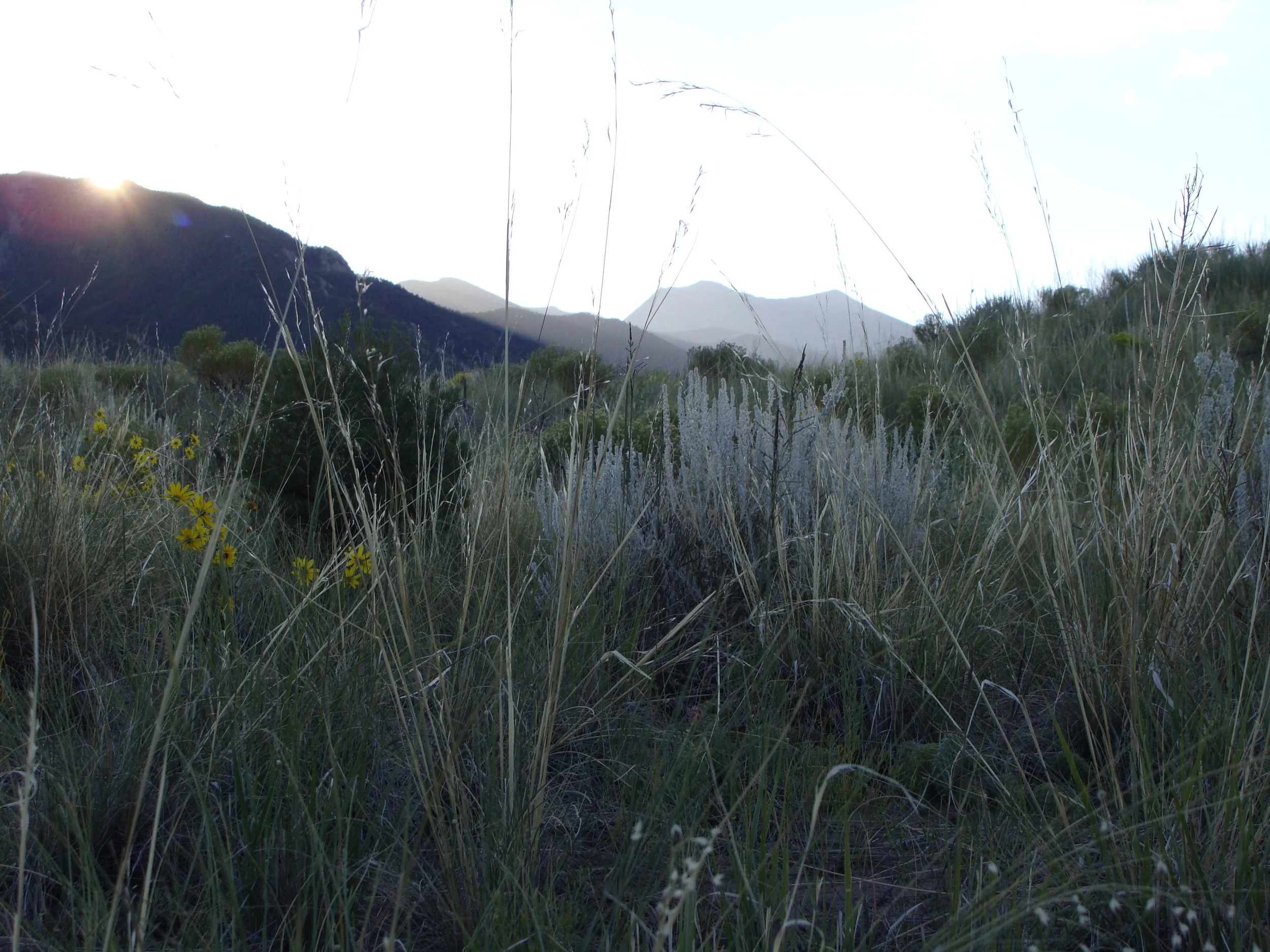 Another beautiful sunrise in the Sangres