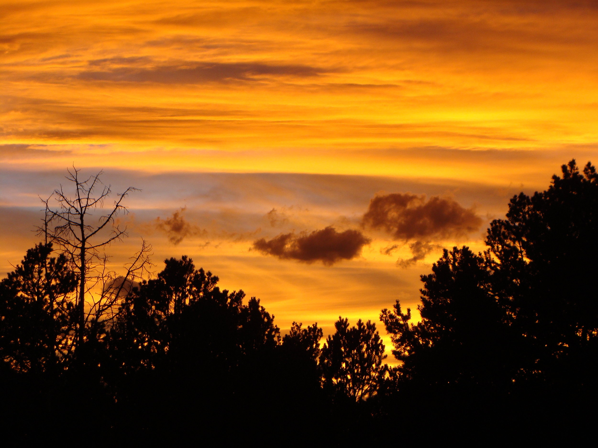 One of several stunning sunsets this week.