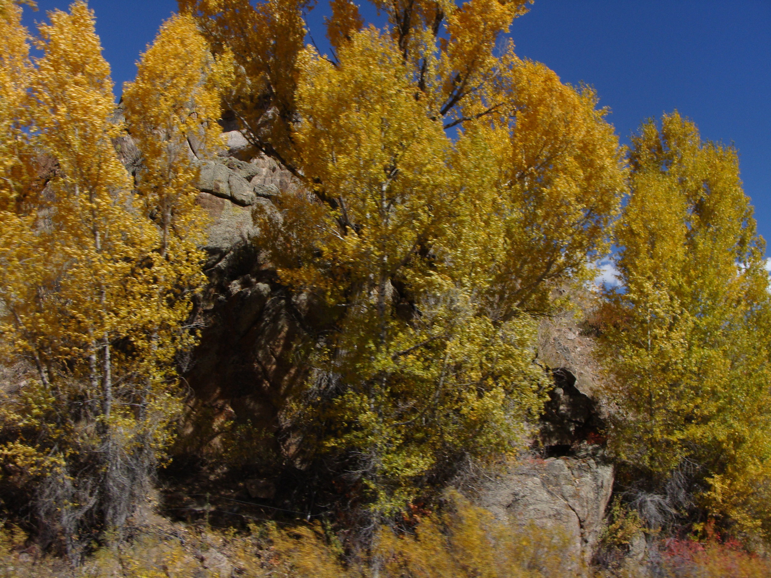 Autumn in The Rockies