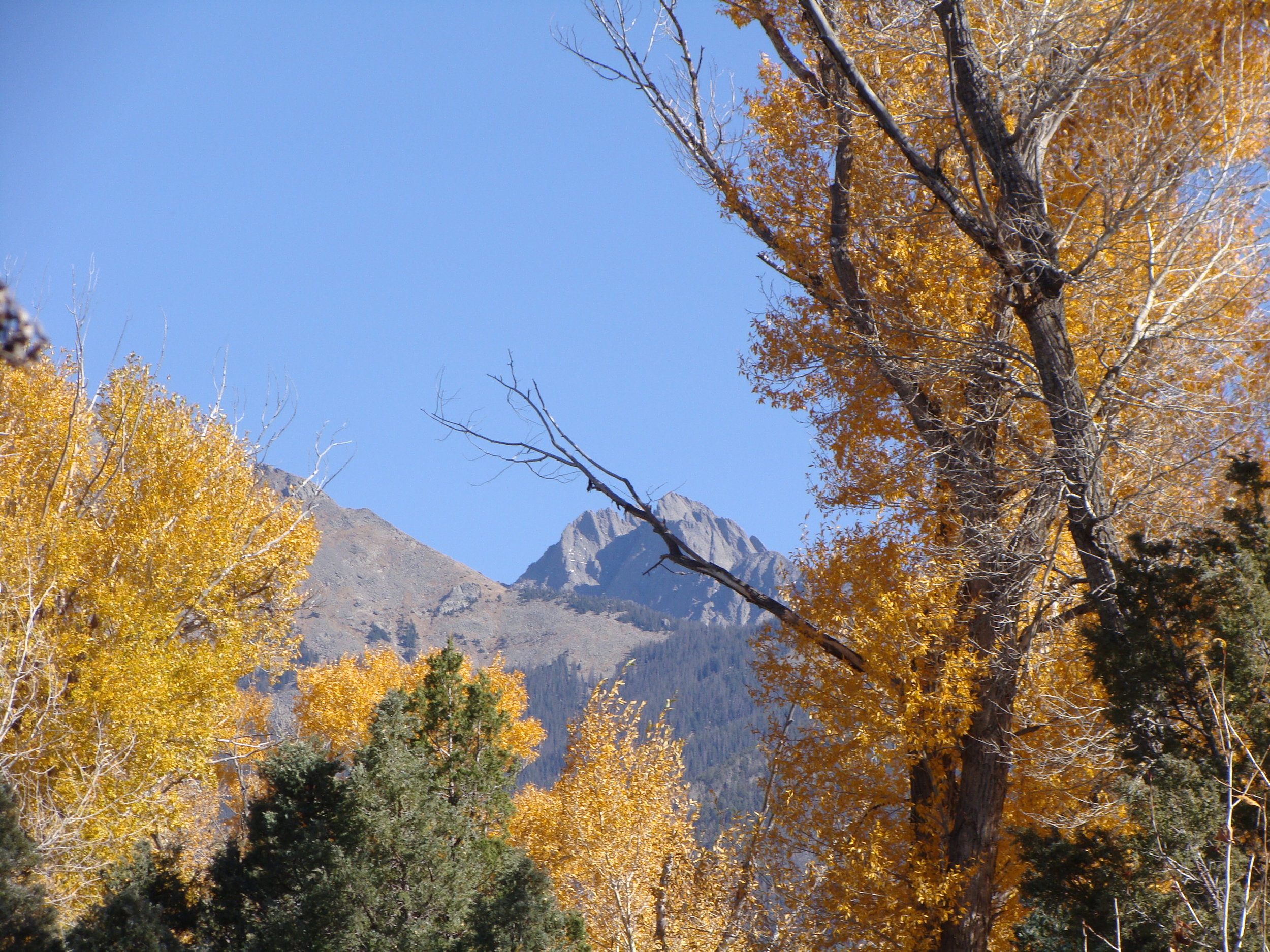 A beautiful fall day on a favorite trail.