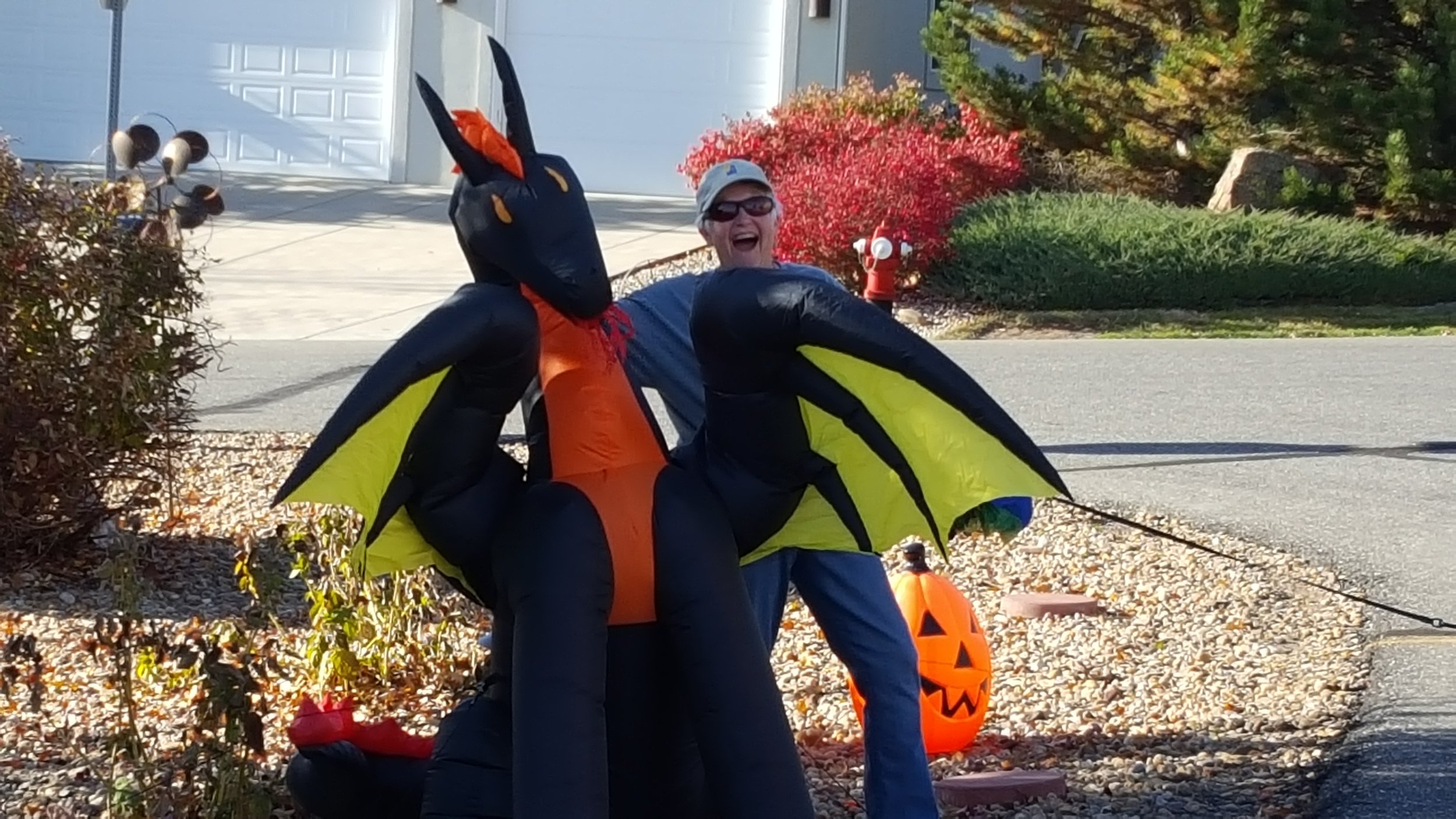 Or Maybe I'll Go Play With a Dragon ...