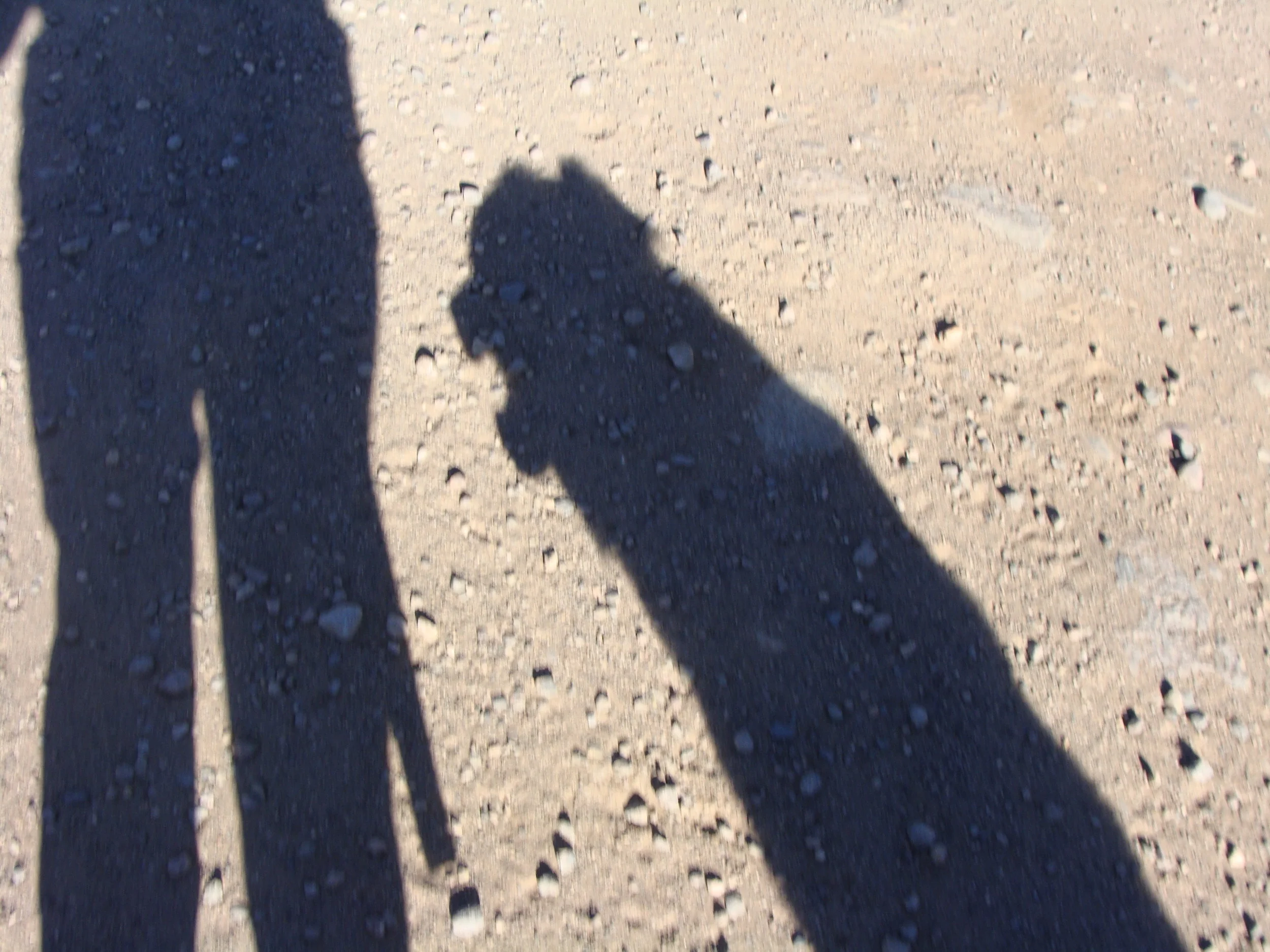 I can always count on Luke's 'Treat Please!' shadow