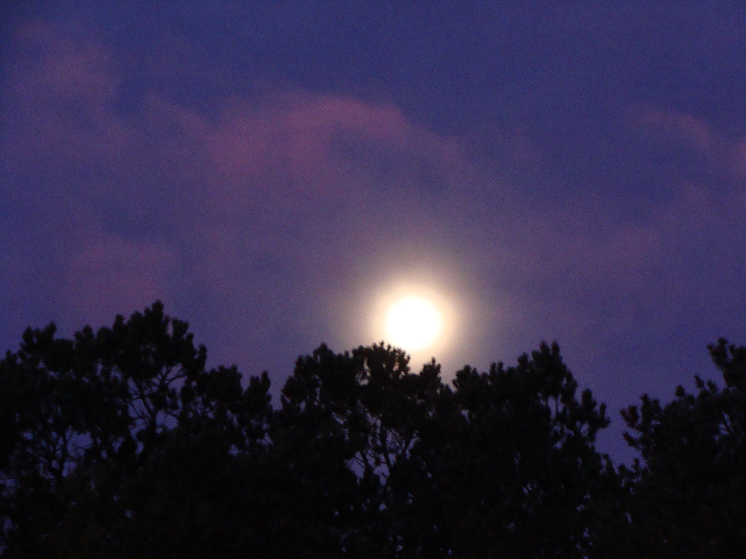 Magical, Mystical Moon at Sunrise