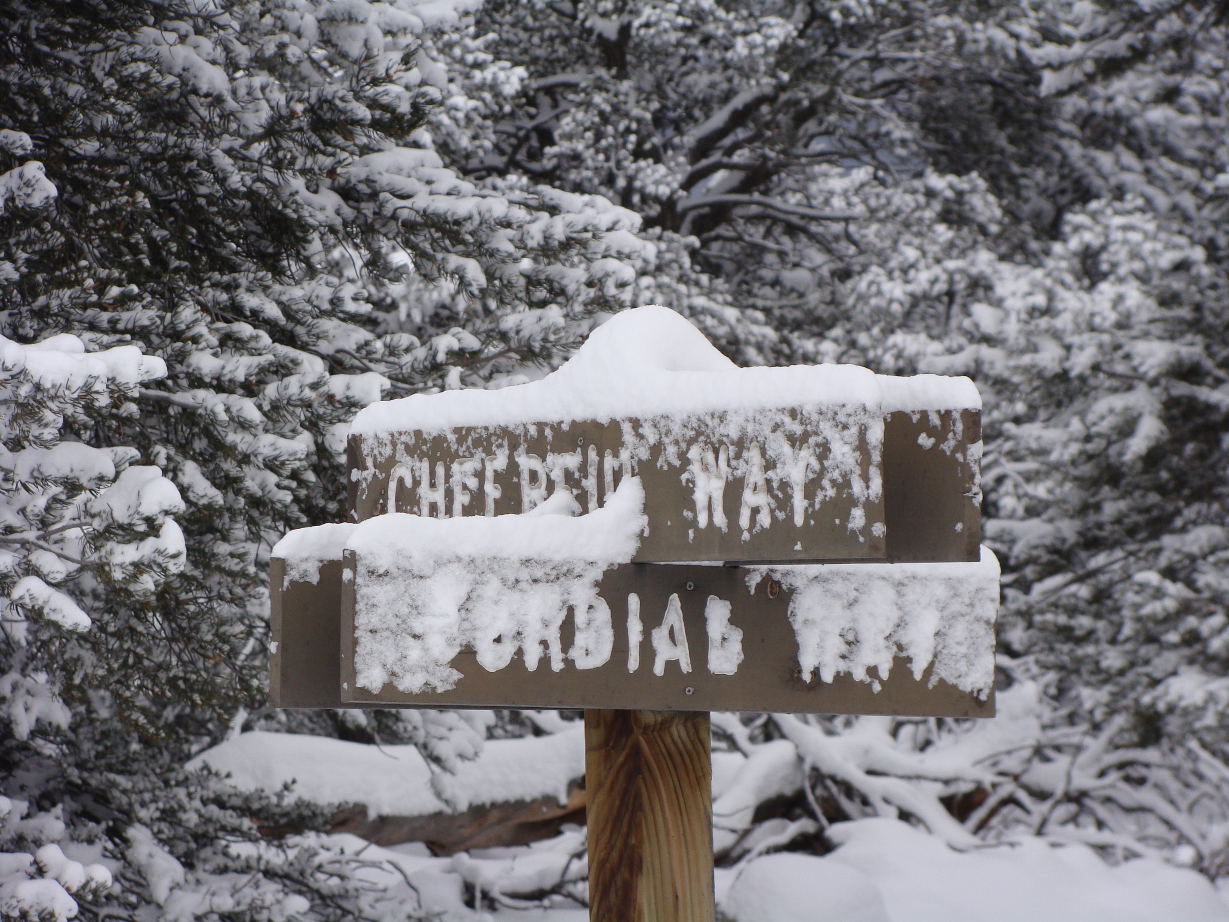 Add Snowy to Cordial and Cheerful.
