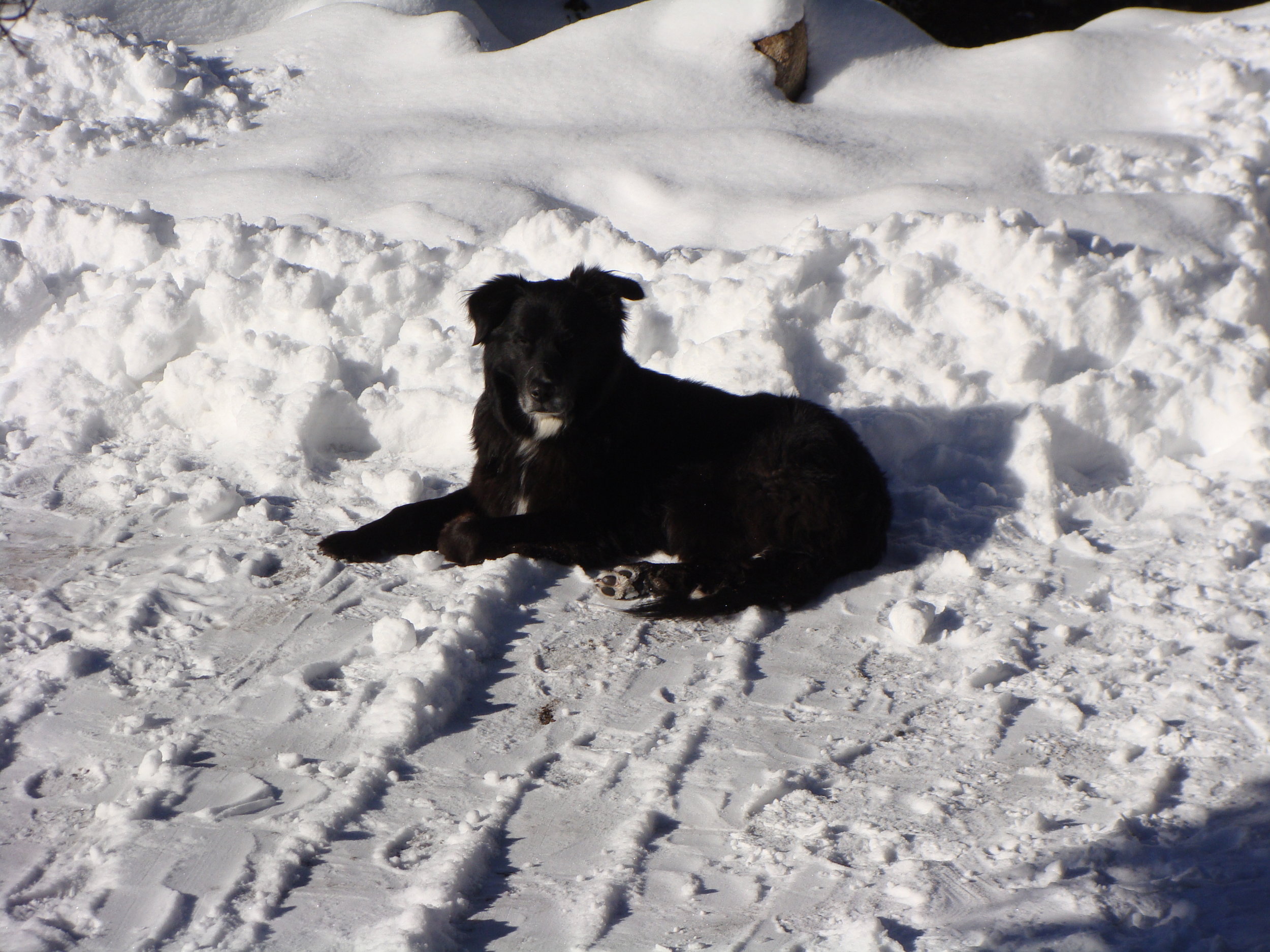 Thanks Mom for Shoveling!