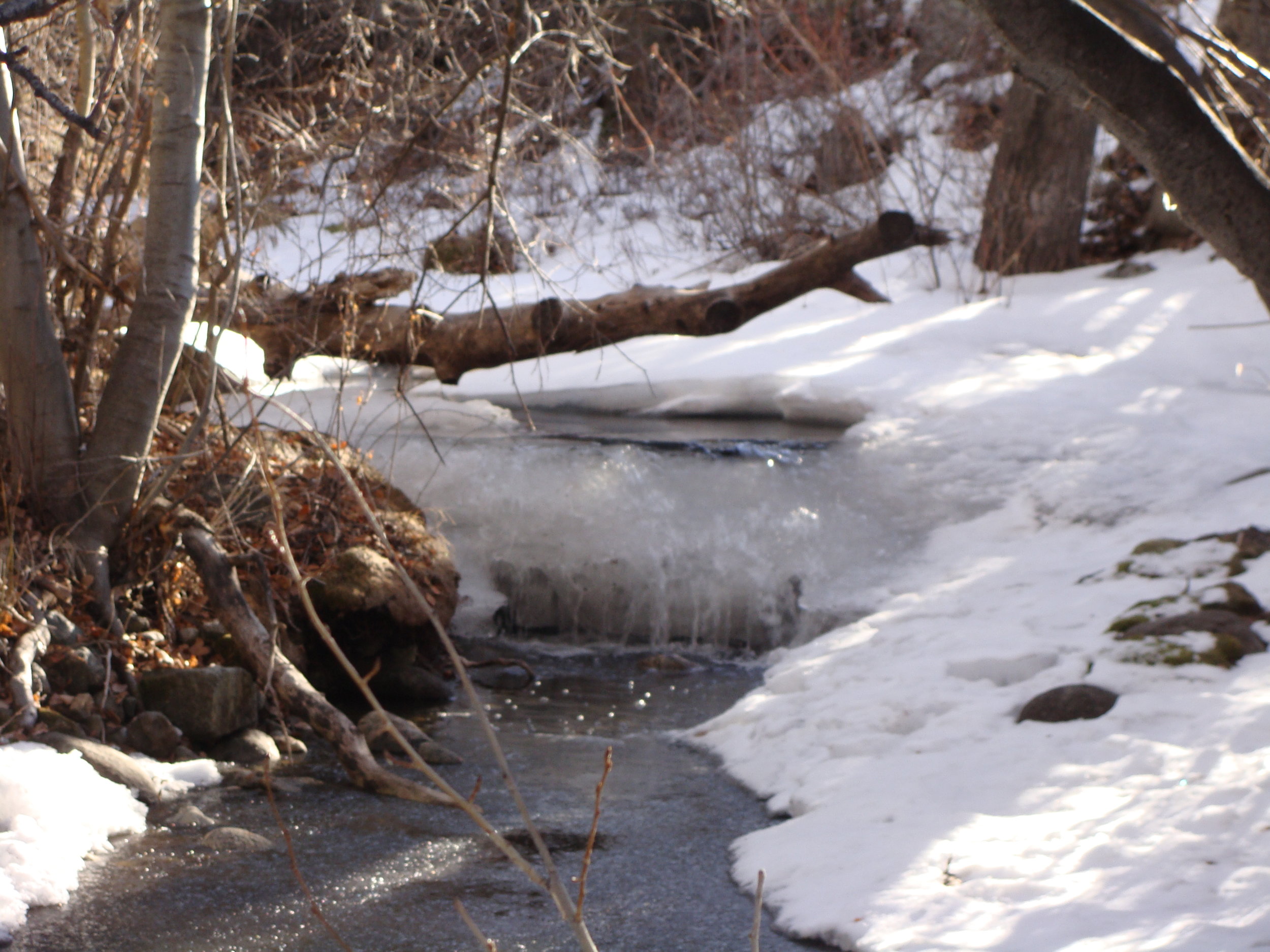 It may still be winter, but the spring flow has begun!
