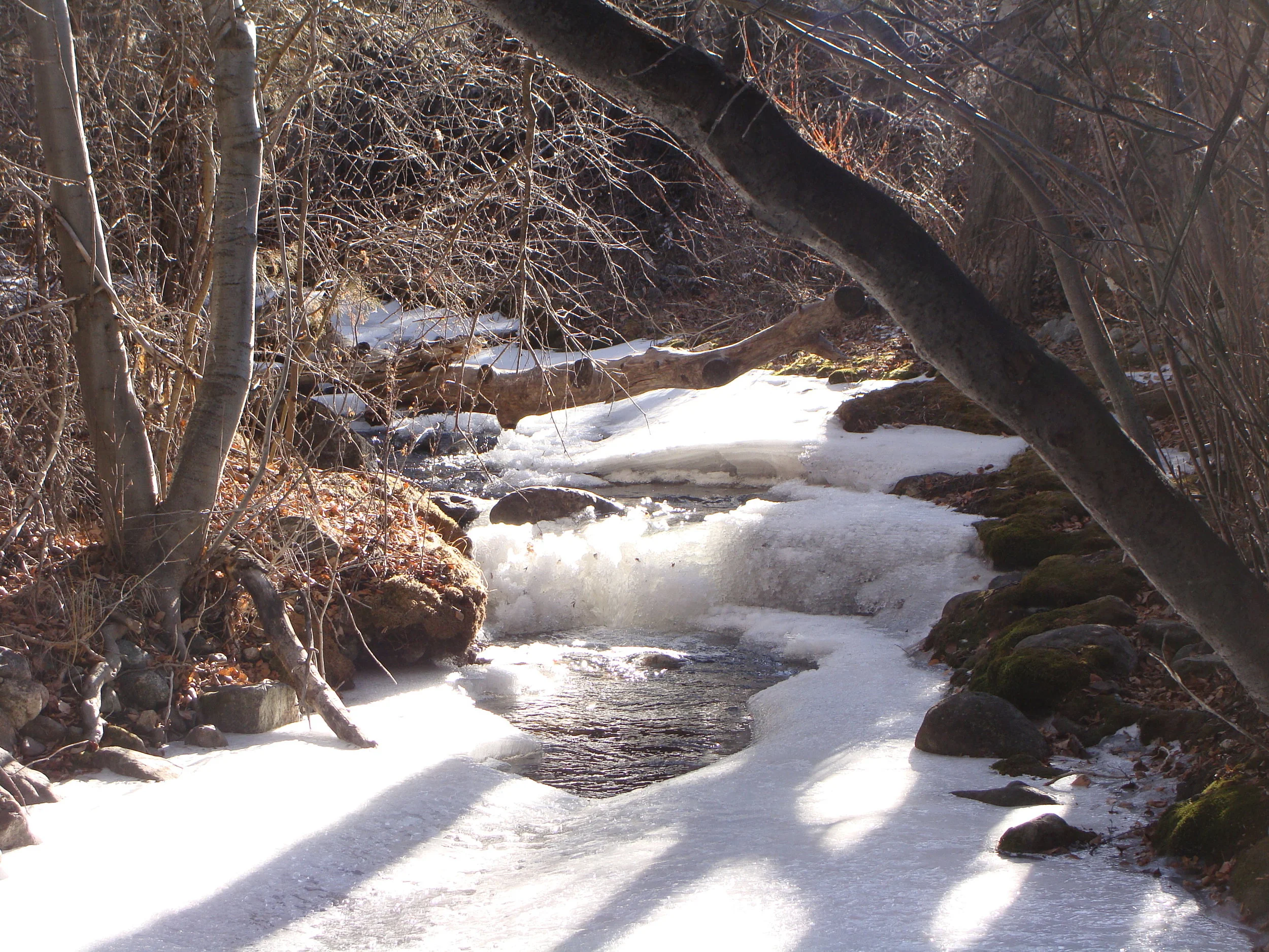 Snow and ice cover Cottonwood Creek today after a snow ...
