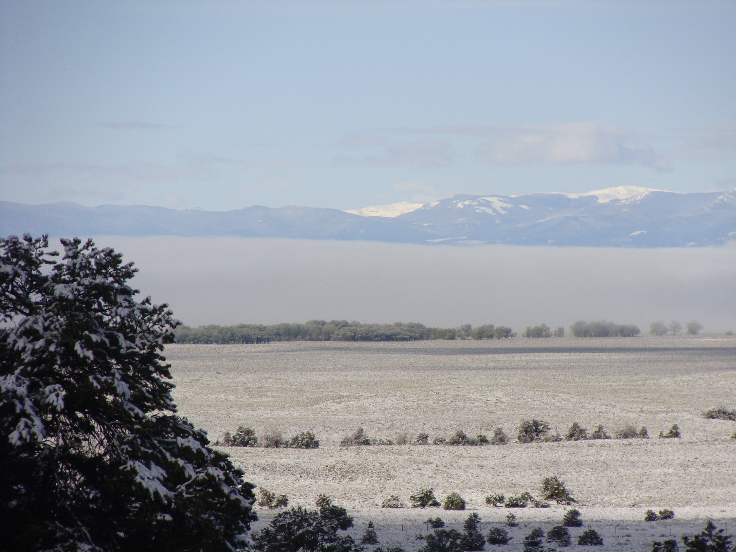 And a beautiful white blanket when the new day dawns.