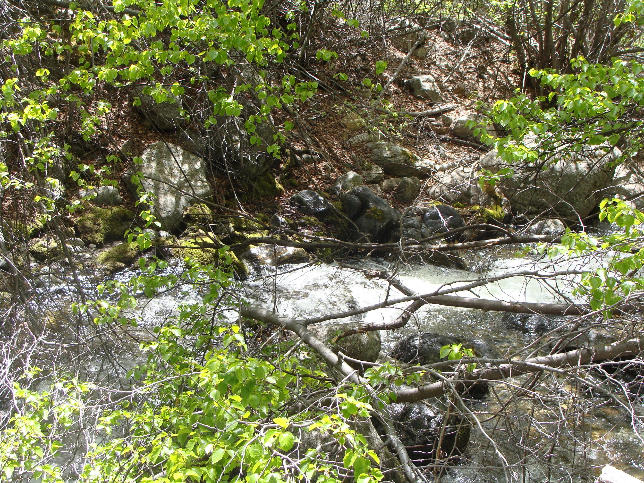 A place to awaken the senses and be curious about nature's ways.