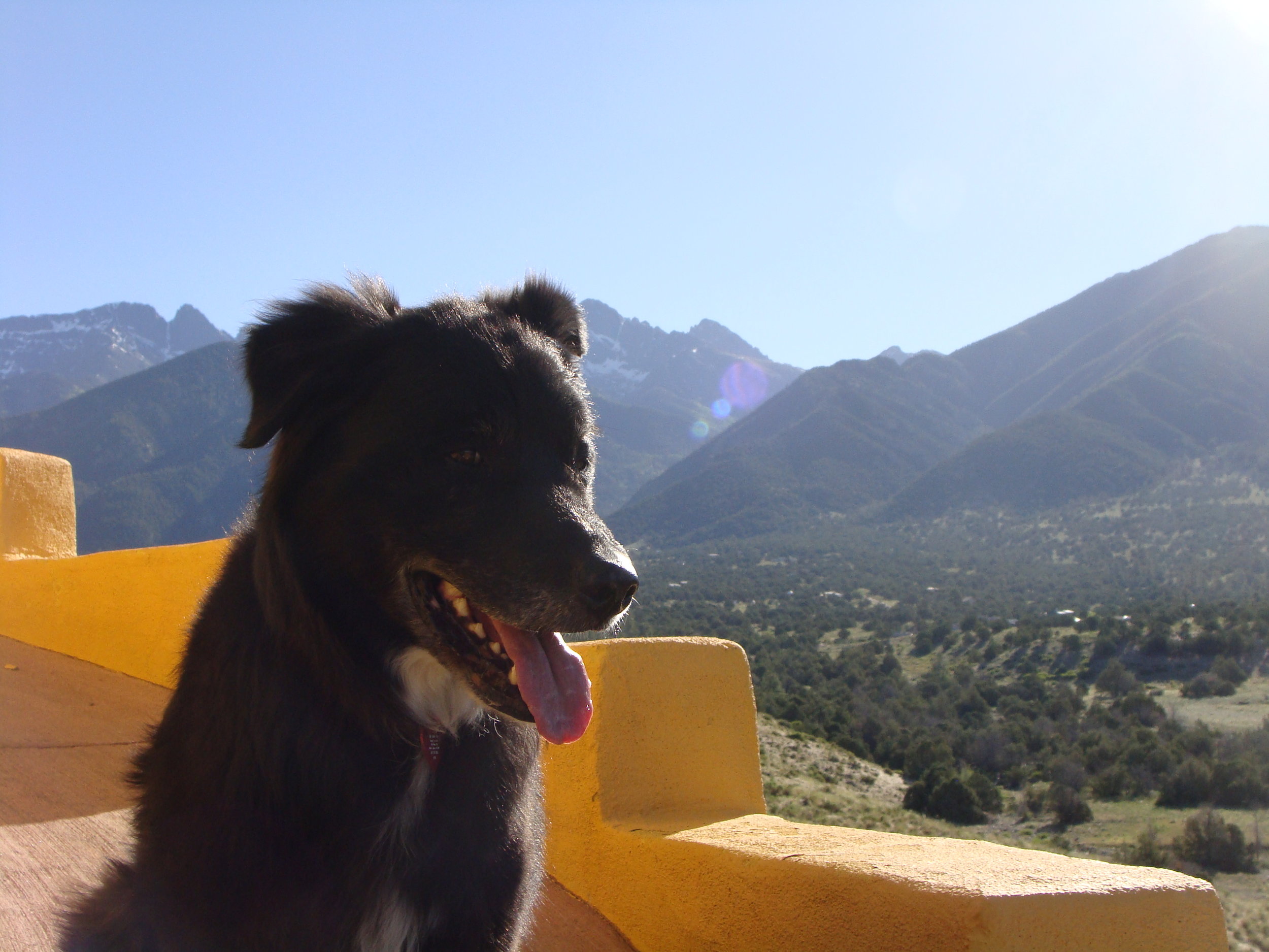 Cool Hand Luke on our Solstice Trek to the Ziggurat