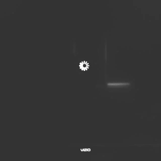 Trying to watch some Joe Bob but he crashed SHUDDER! Only he can slash the largest streaming horror network! @joebobbriggsofficial