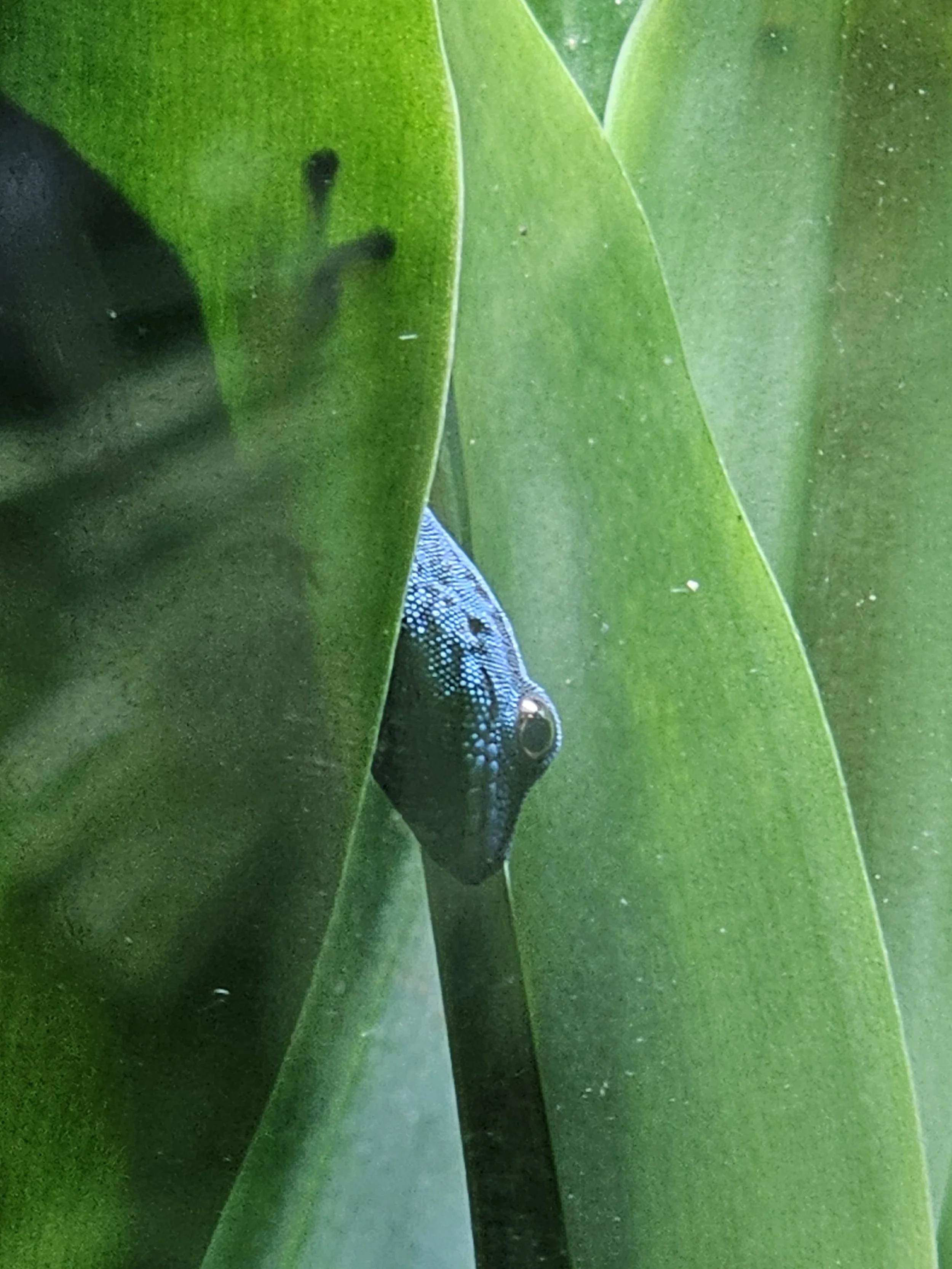 20260724_152237.jpg