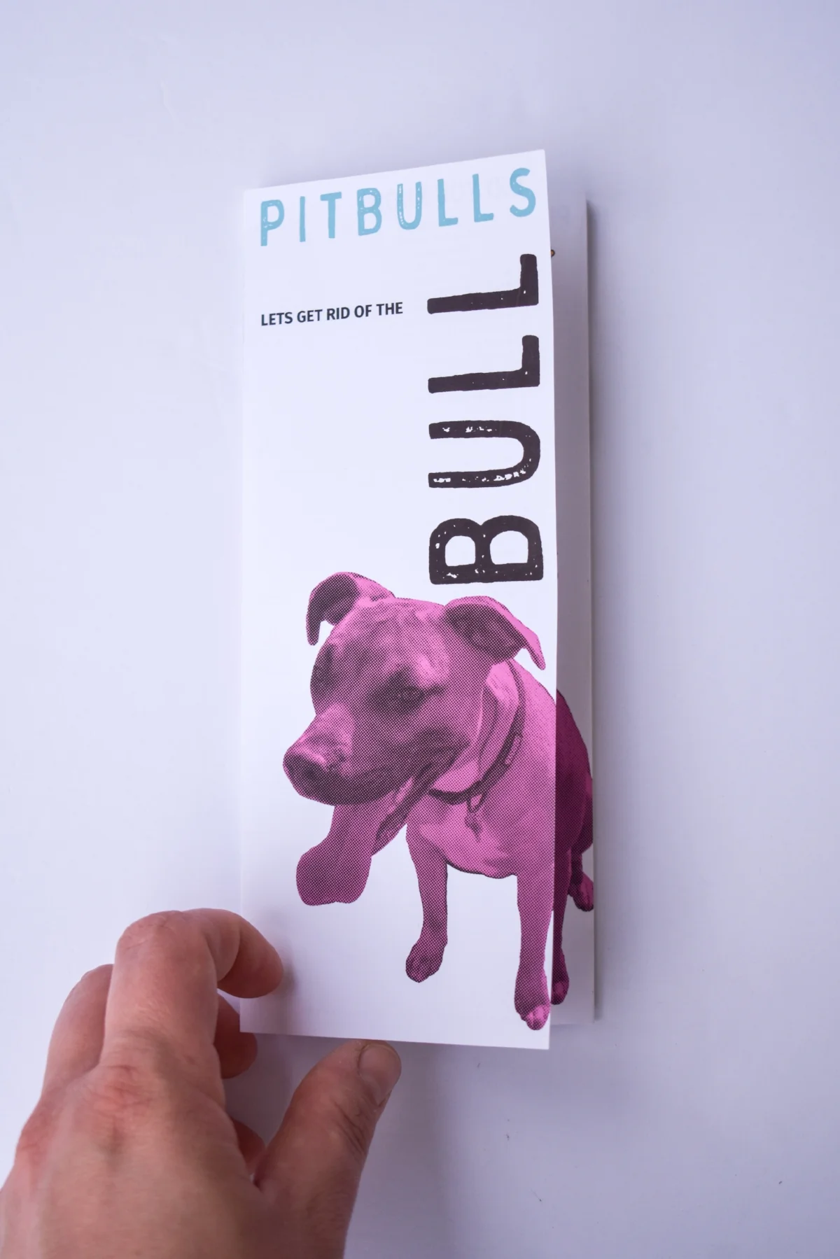 RidOfTheBull-2.jpg
