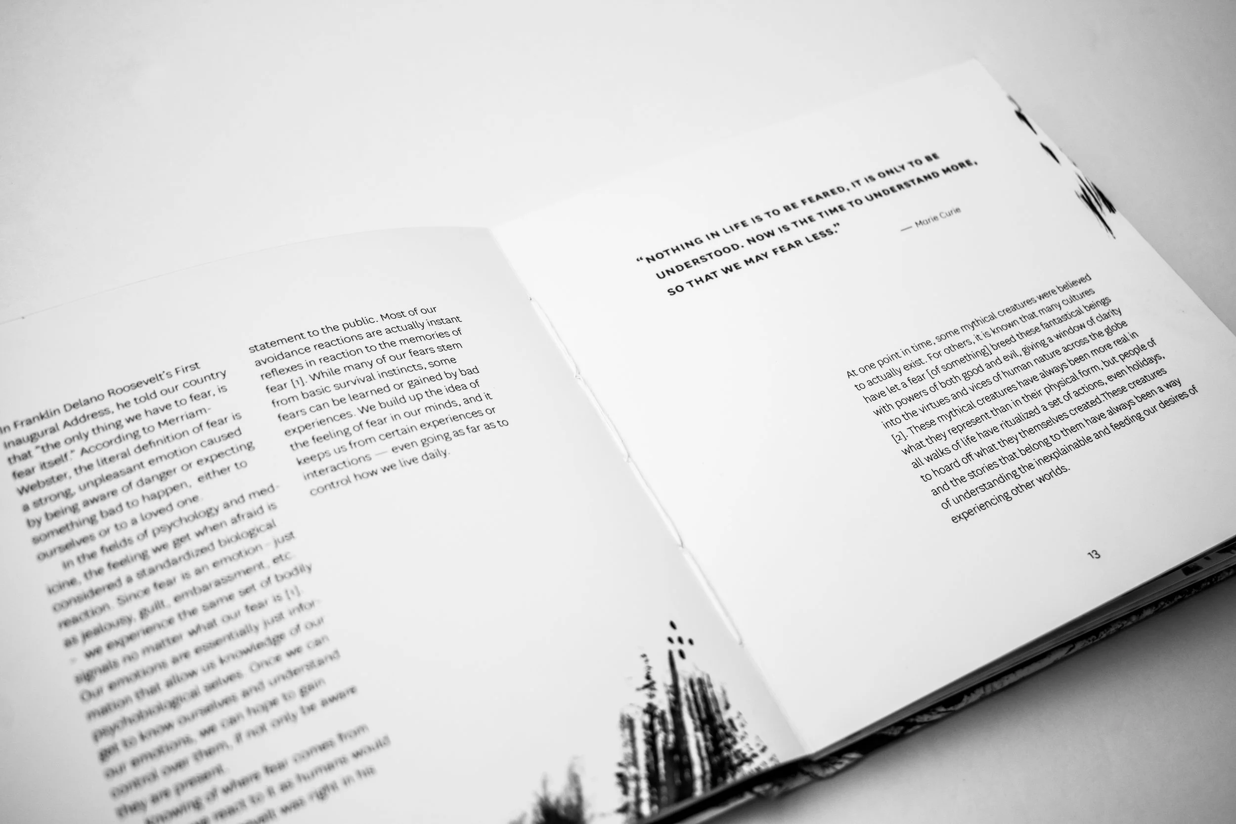Myth&Fear_bookpics-10.jpg