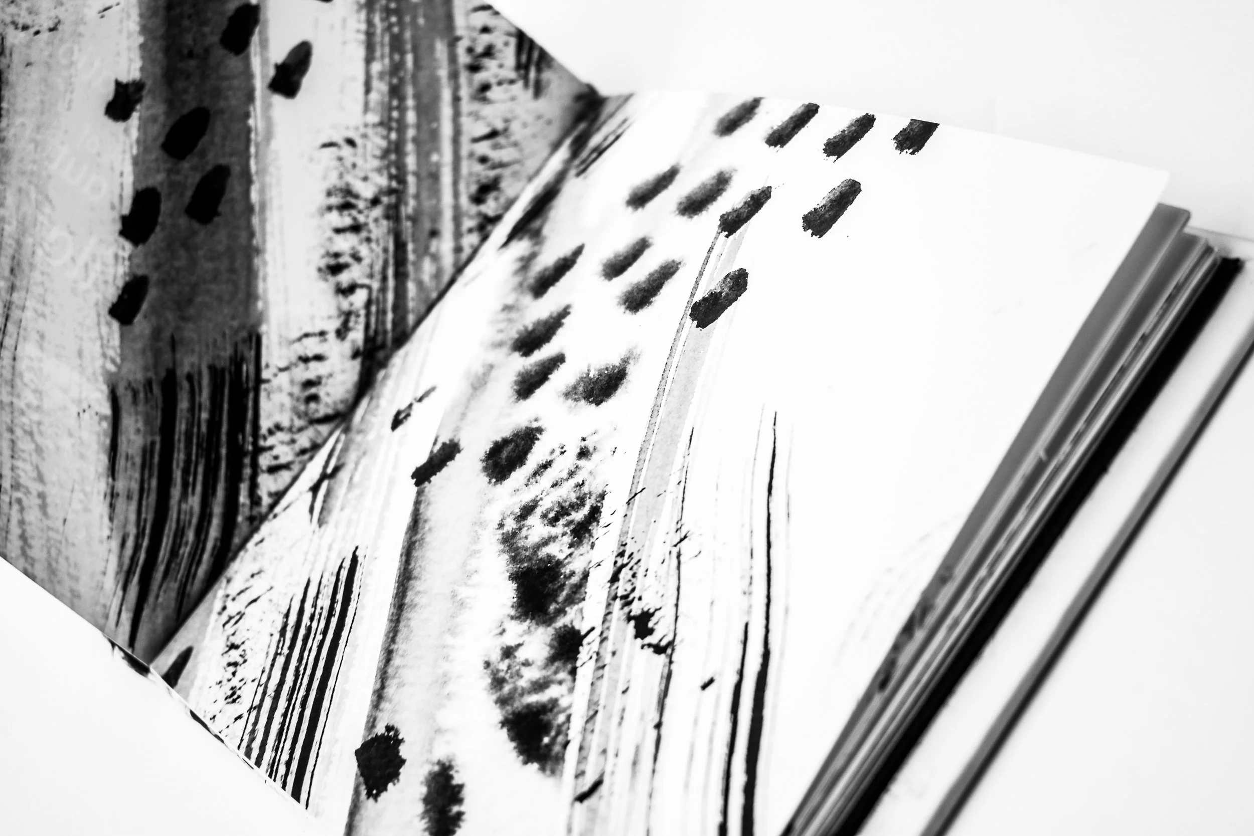 Myth&Fear_bookpics-12.jpg