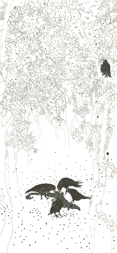 Ravens in Woods