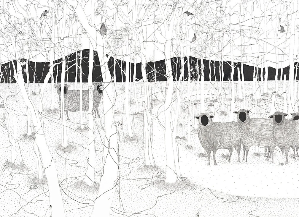 sheep copy.jpg