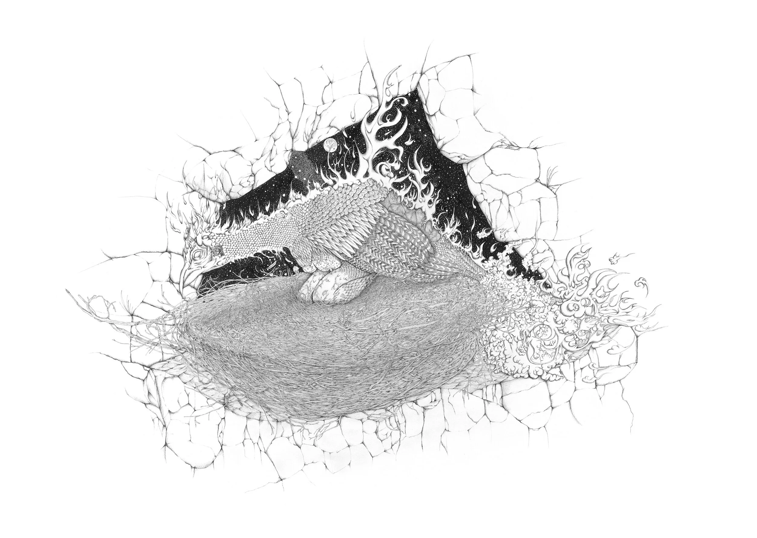 Transformation-Phoenix 300ppi.jpg