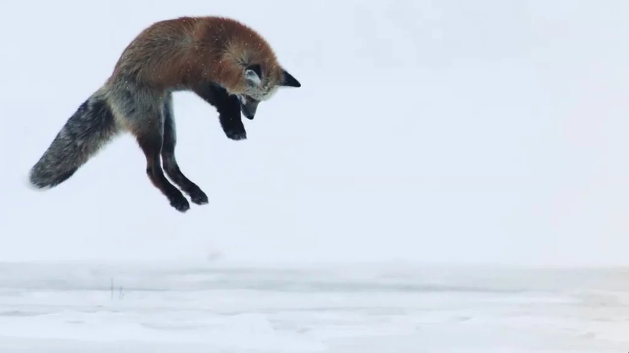 Screen Shot 2016-04-17 at 16.42.13.jpg