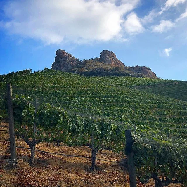 Exploring LA 💛🍷 #LosAngeles #California #Malibu #weekendadventures