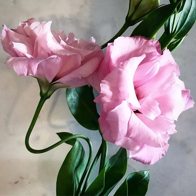 BENT 💕 #losangeles #california