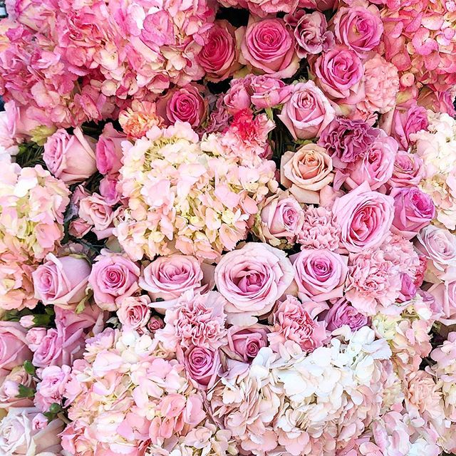 💕 Weekends in Los Angeles... 💕 #flowerlove #swoon #hydrangea #roses #carnations #losangeles #westhollywood