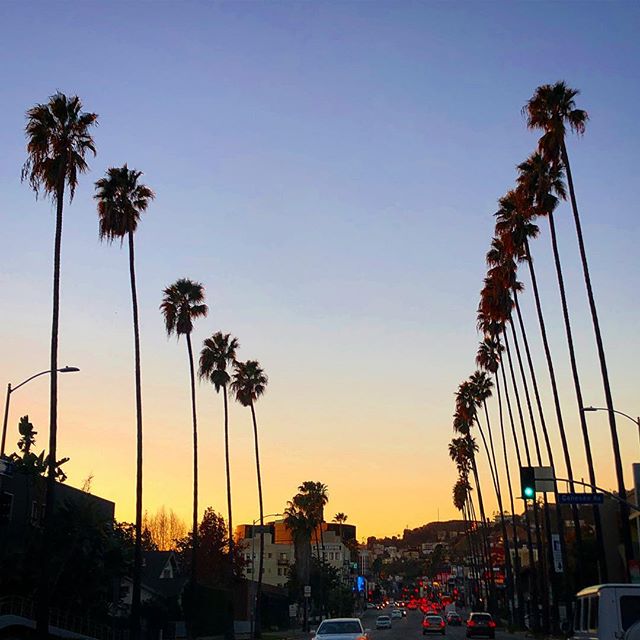 Driving down Sunset full of excitement for a new year. Sending love and happiness 🌴✨ #2019 #LosAngeles #californialove #SunsetBlvd