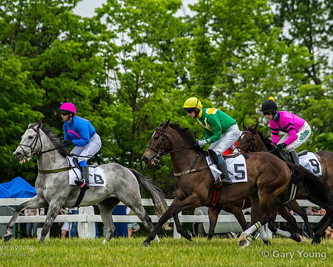 Potomac Hunt Race 2015!