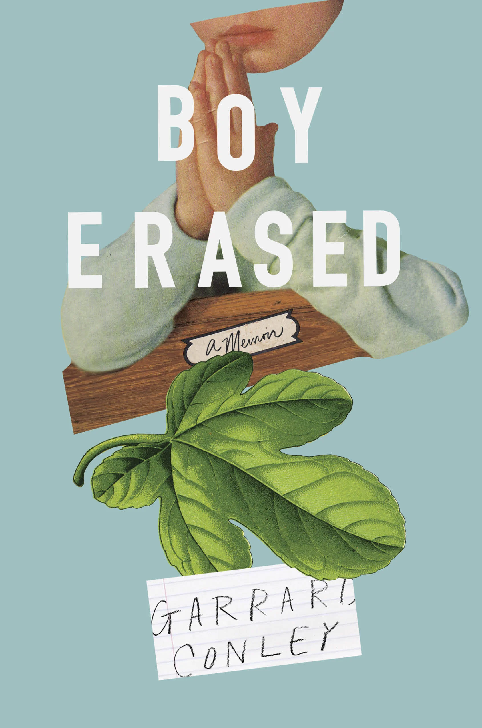 Boy Erased cover final.jpg