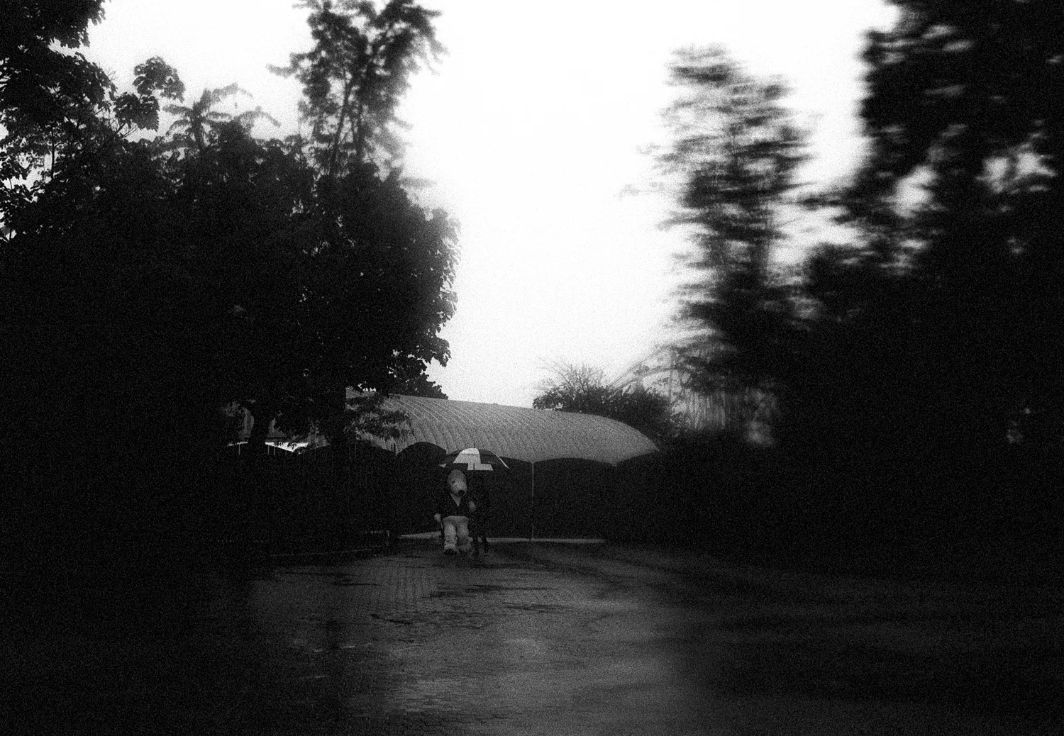 365-12.jpg