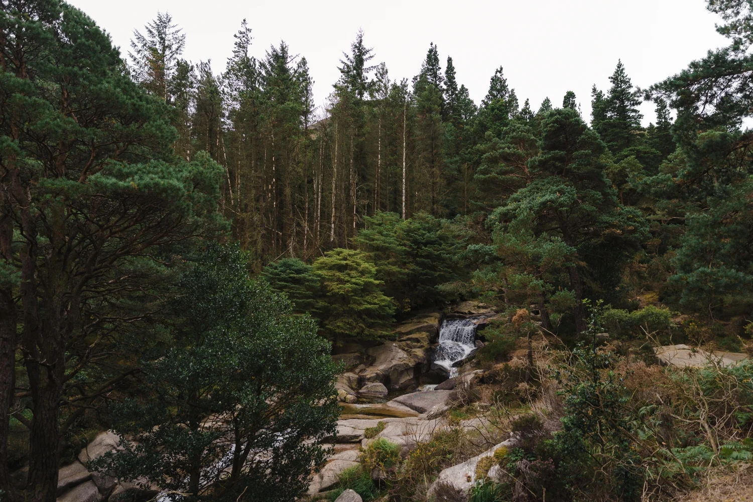 EmeraldIsle-5.jpg