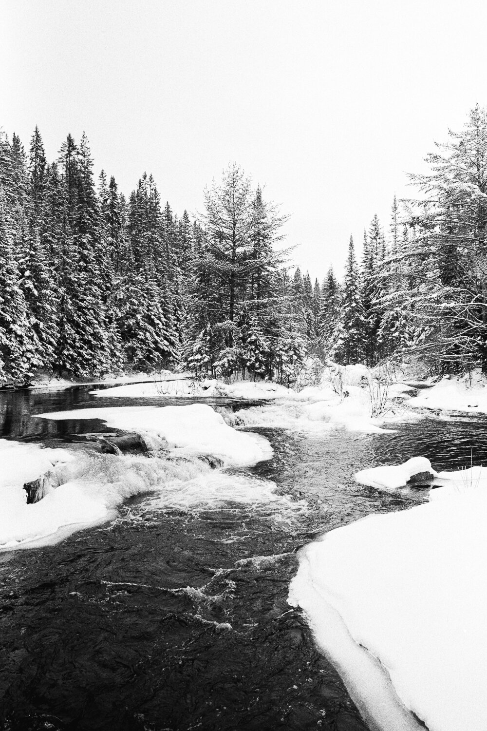 WinterScans2020 (35).jpg
