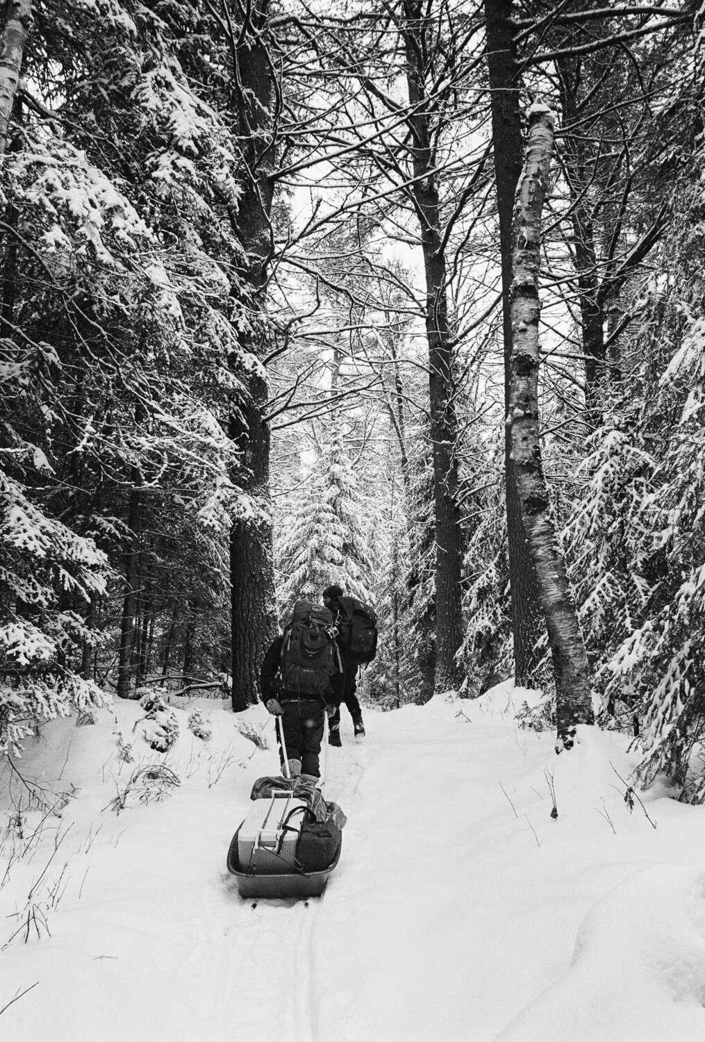 WinterScans2020 (27).jpg