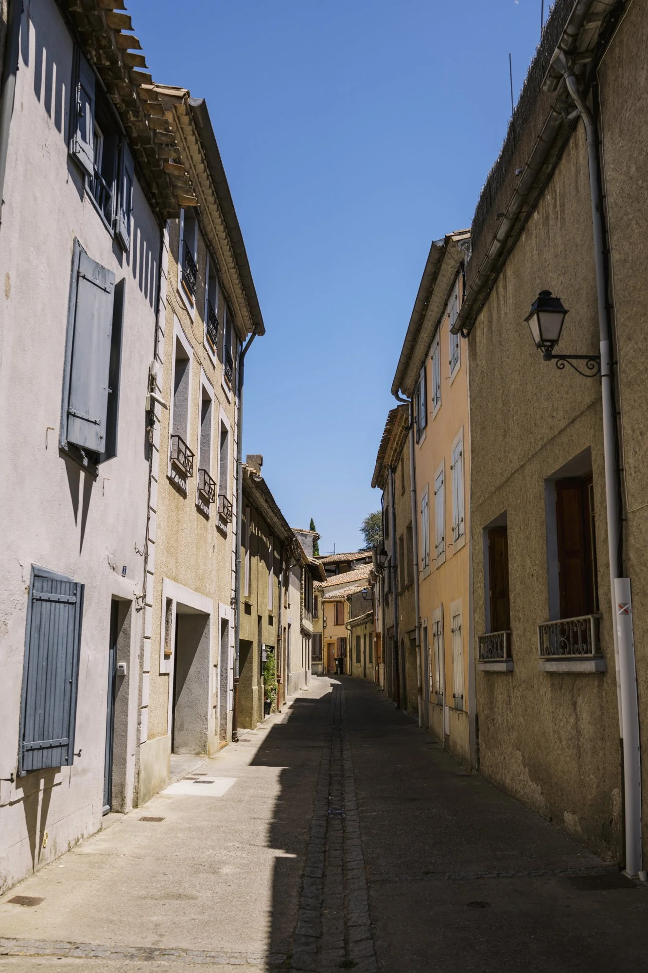 DSC01446.jpg