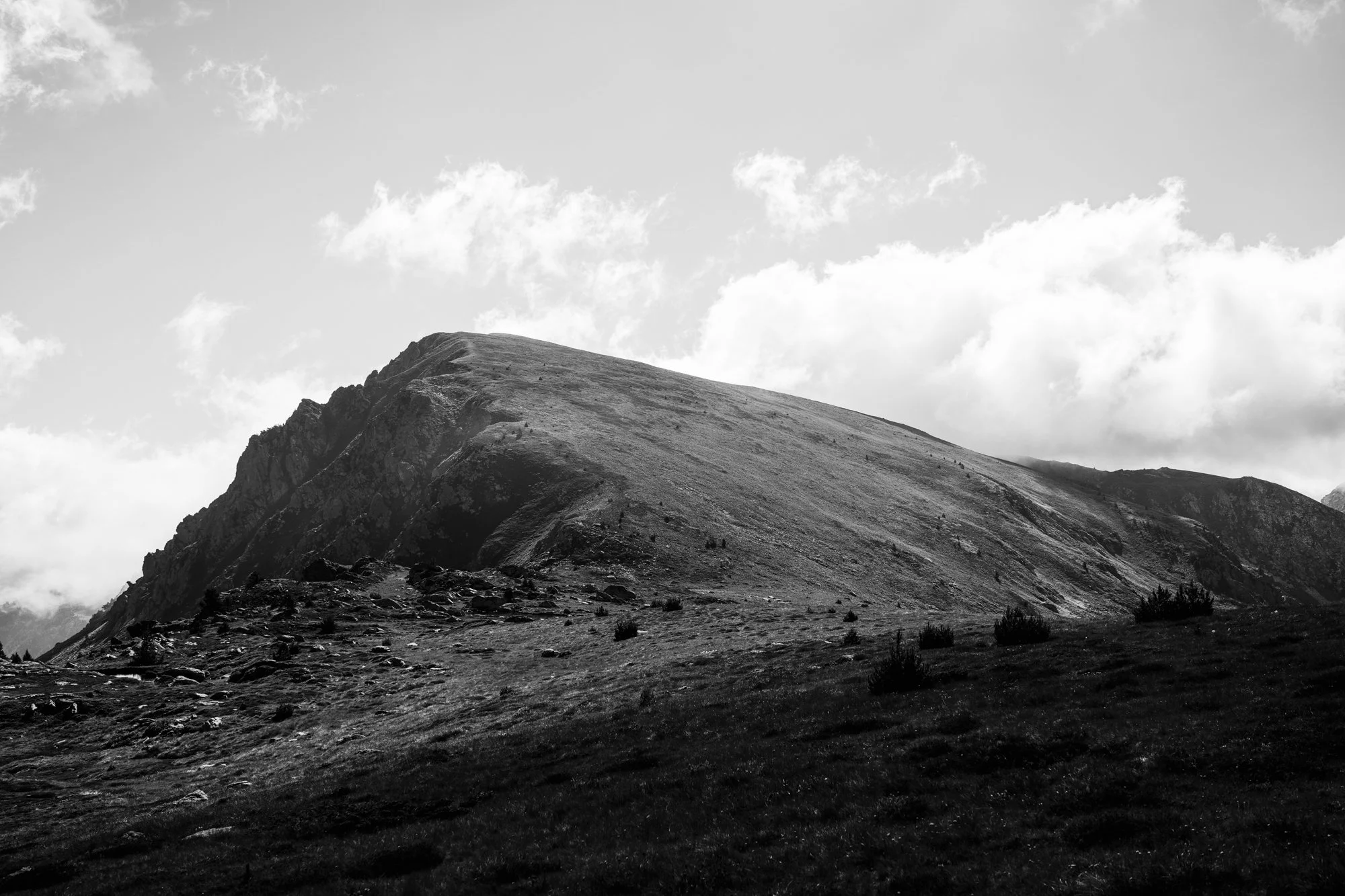 DSC01020.jpg