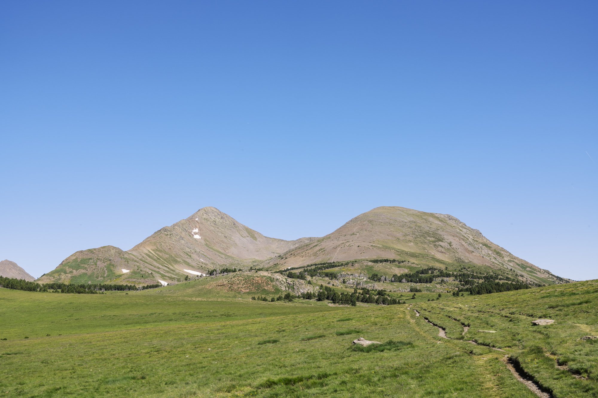 DSC01419.jpg