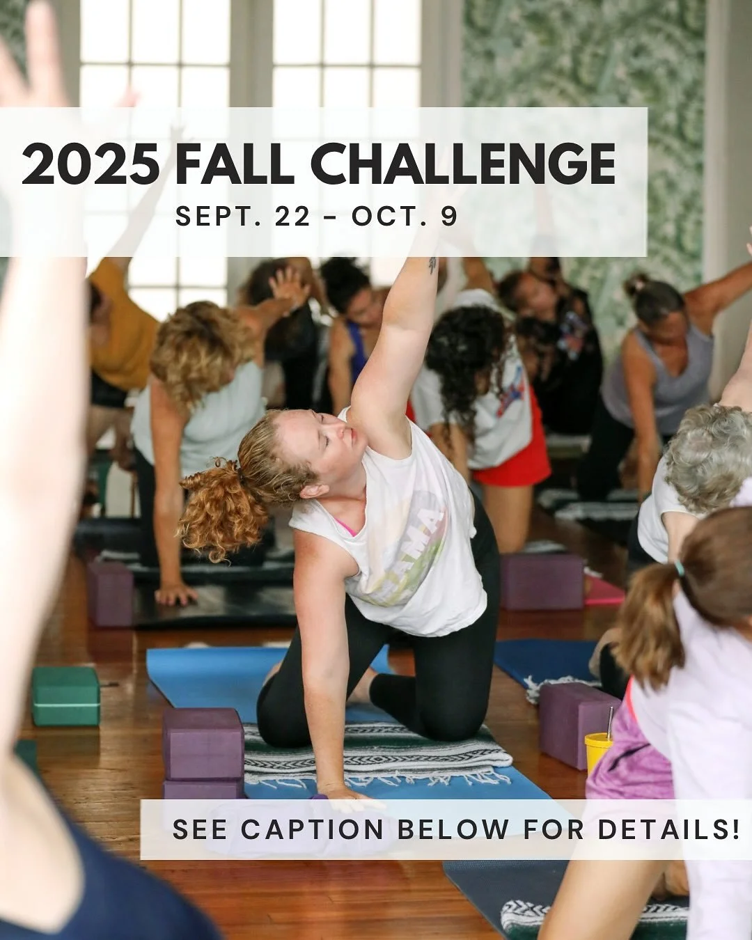 Fall is the perfect time to start fresh🍂

Kickstart a new routine AND get rewarded with our Fall Challenge that starts next week!

From Monday, 9/22 - Thursday, 10/9, reset your routine by taking 13 classes in 18 days. You&rsquo;ll experience more e