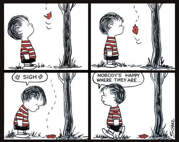 Everything's Amazing And Nobody's Happy: The First Step Toward Emotional Change